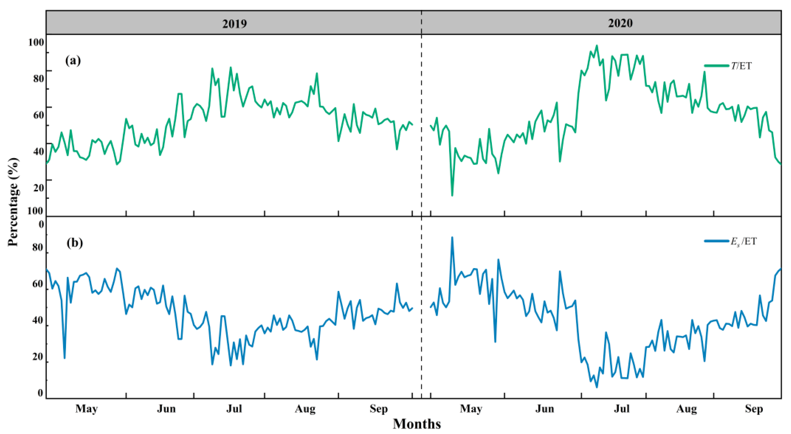 Plants 13 00801 g006 Plants 13 00801 g006