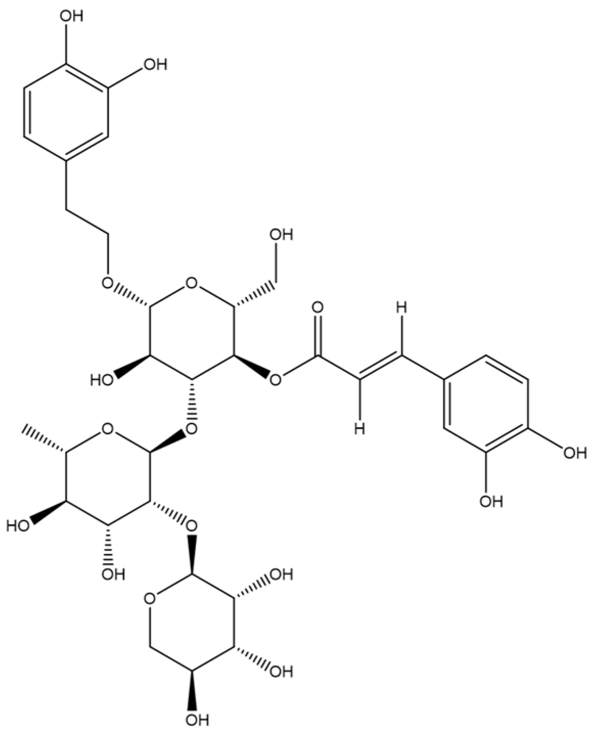Plants 13 00808 g001
