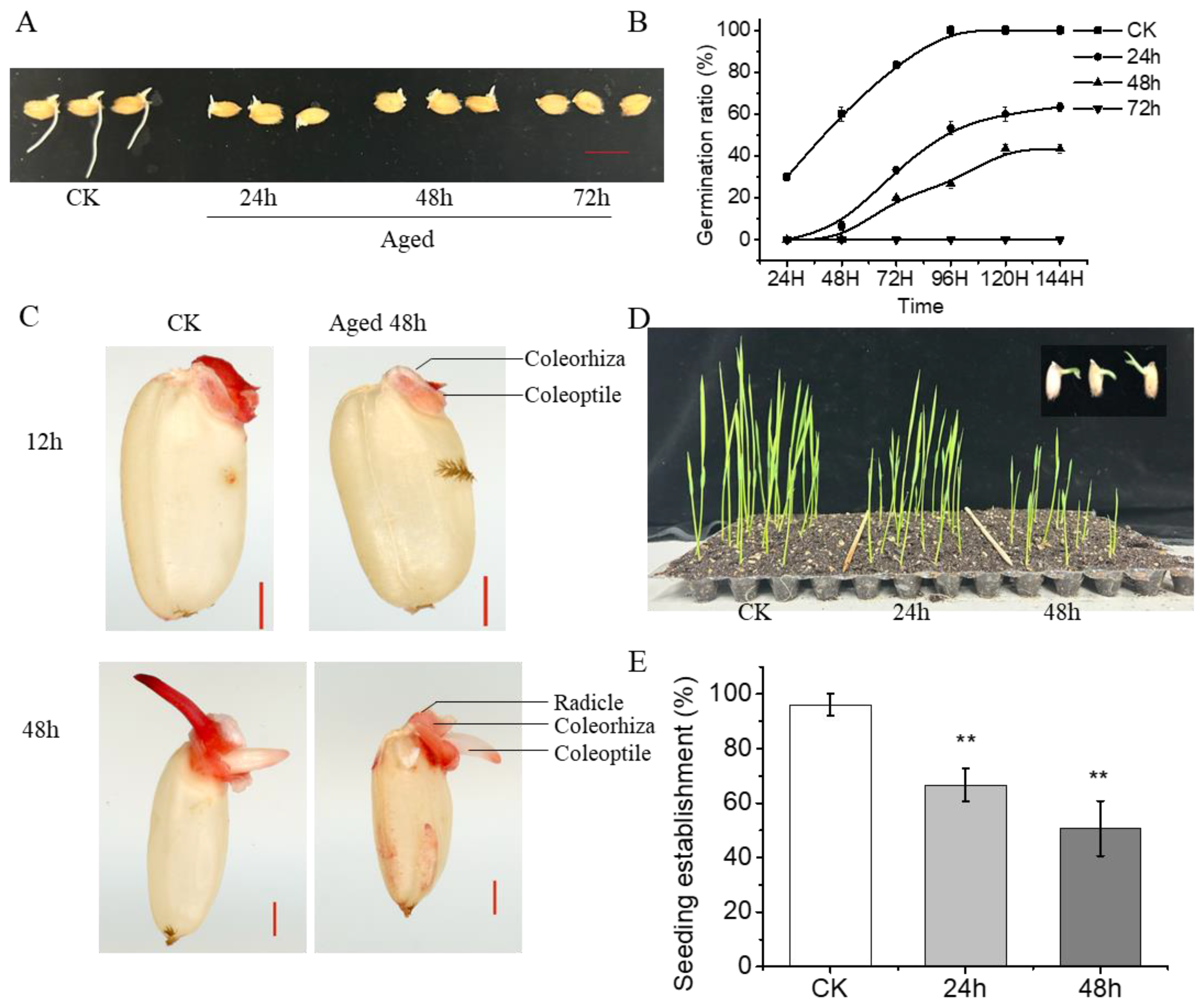 Plants 13 00809 g001