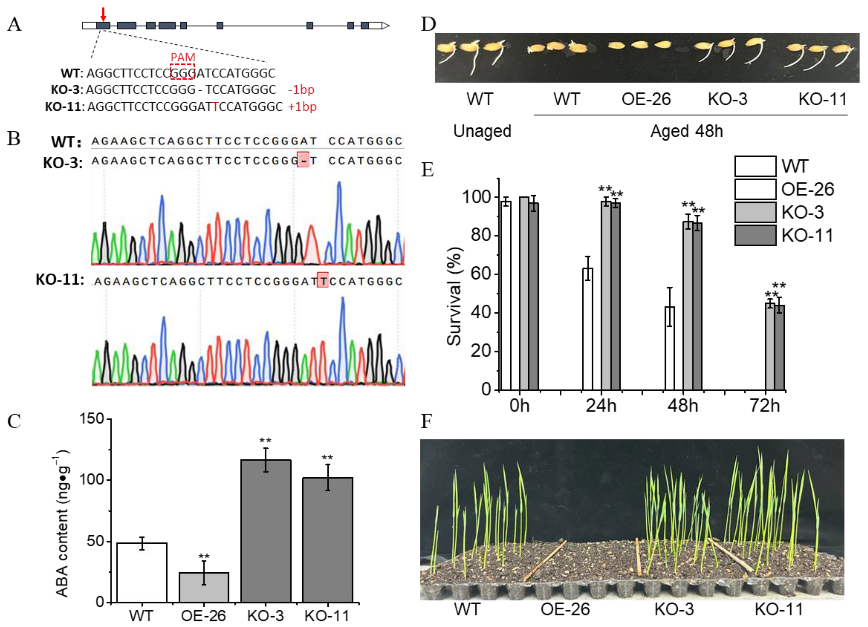 Plants 13 00809 g003