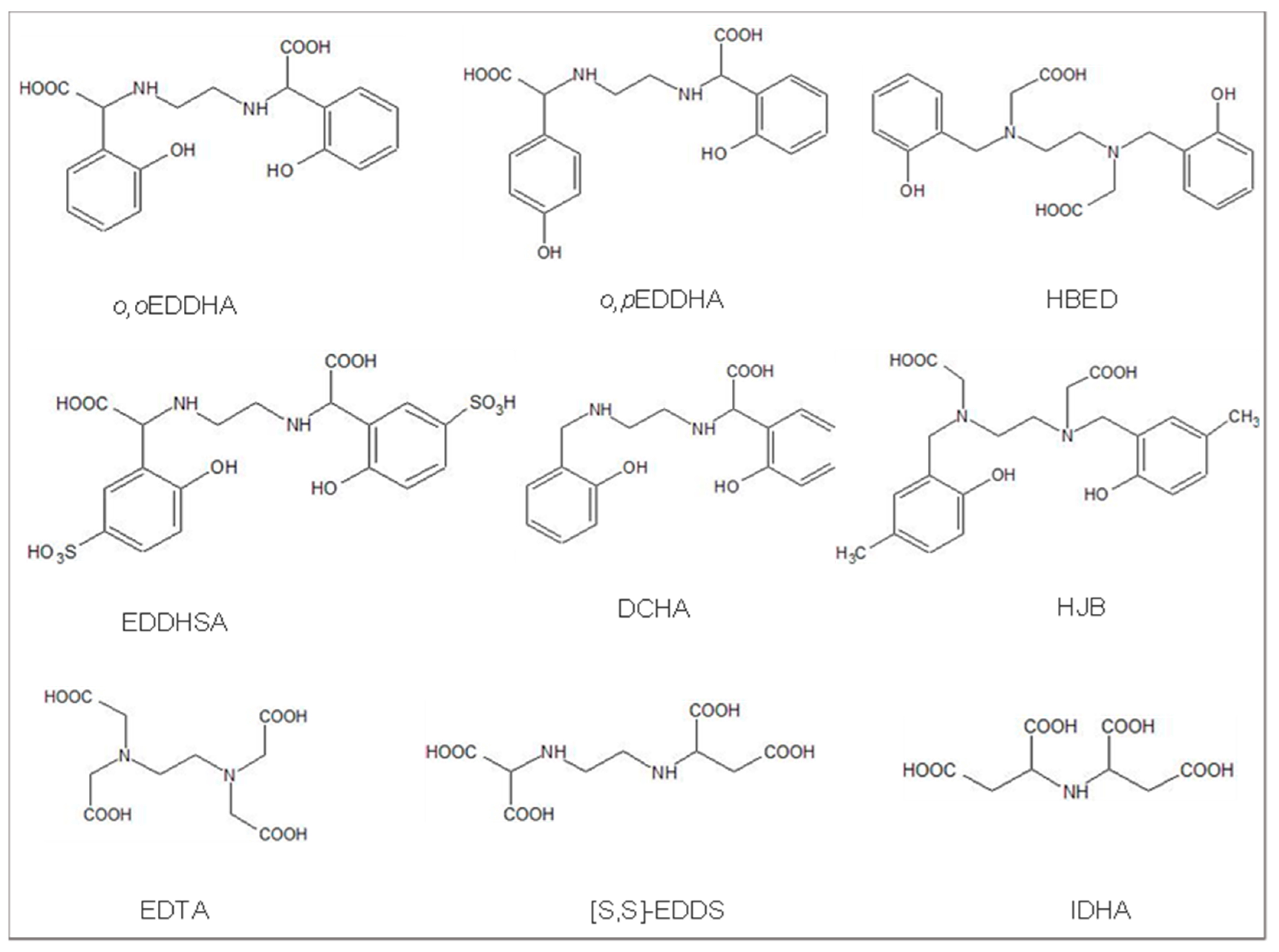 Plants 13 00819 g001