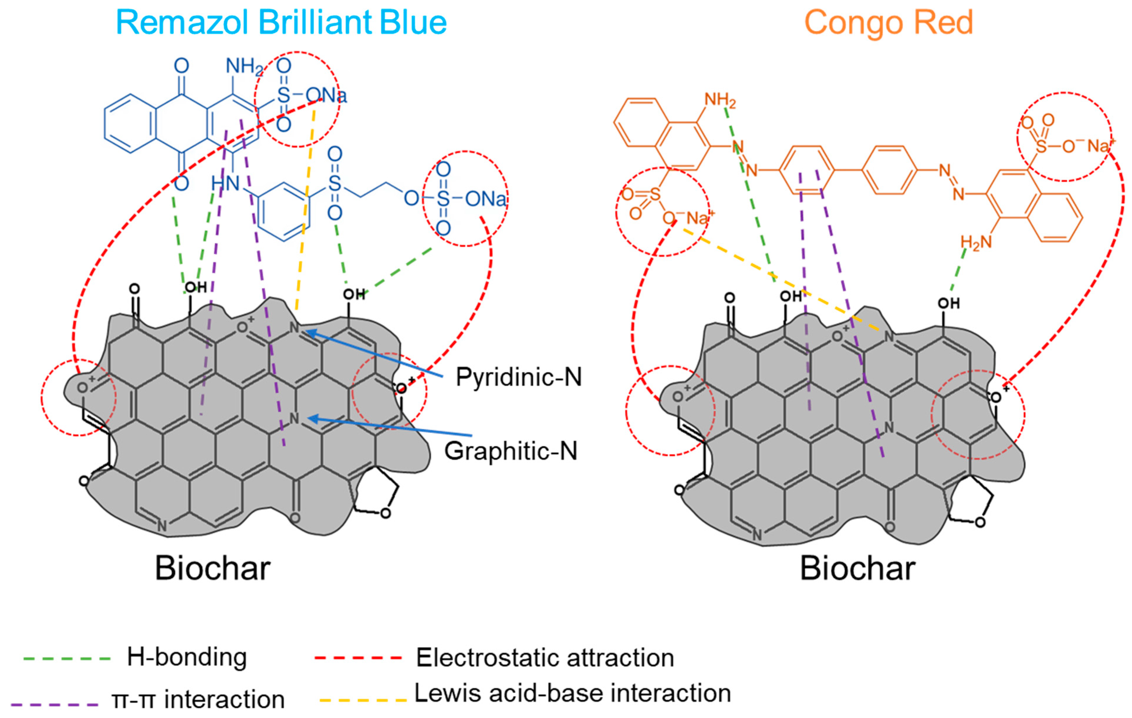 Plants 13 00820 g006