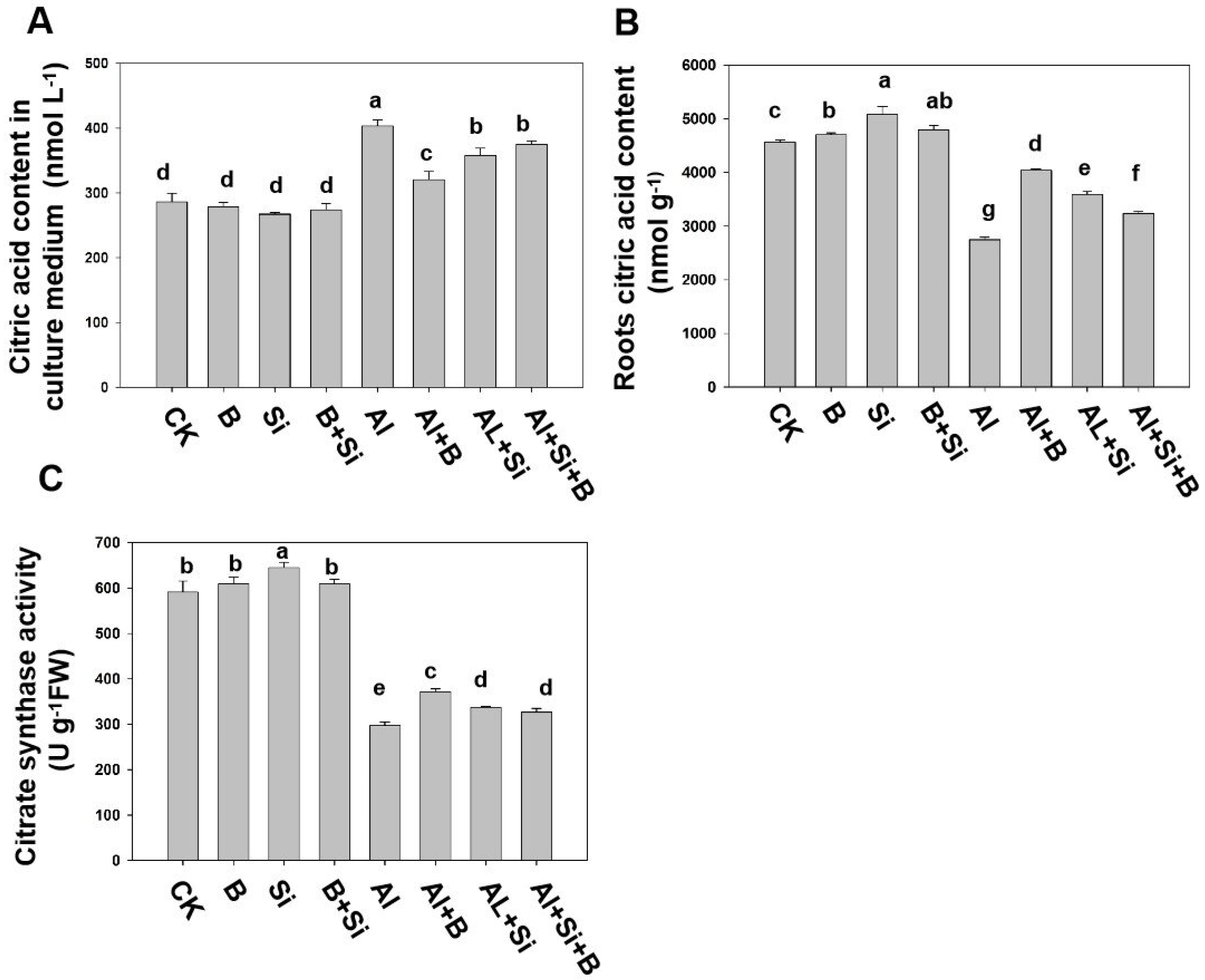 Plants 13 00821 g005