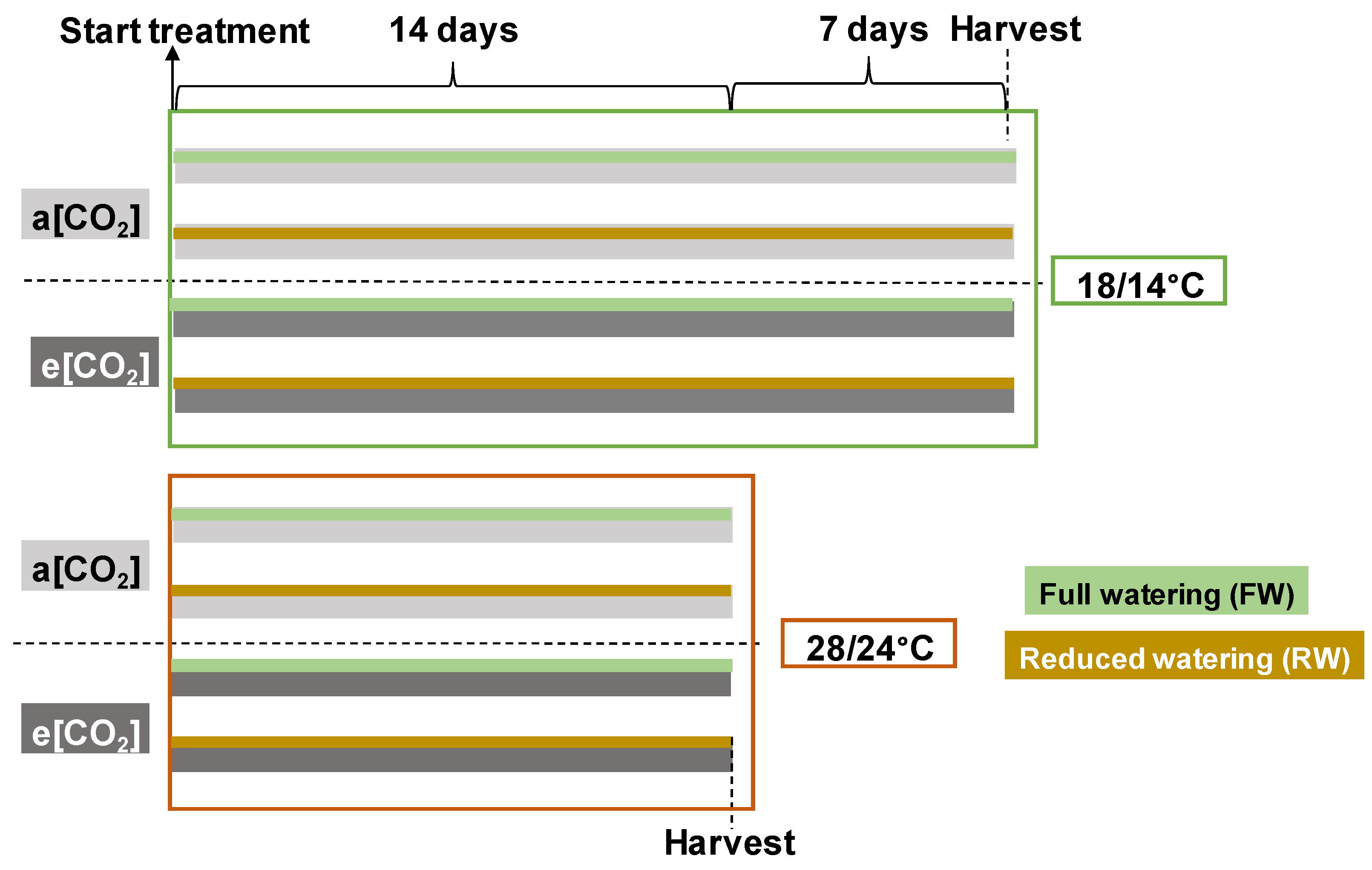 Plants 13 00830 g001