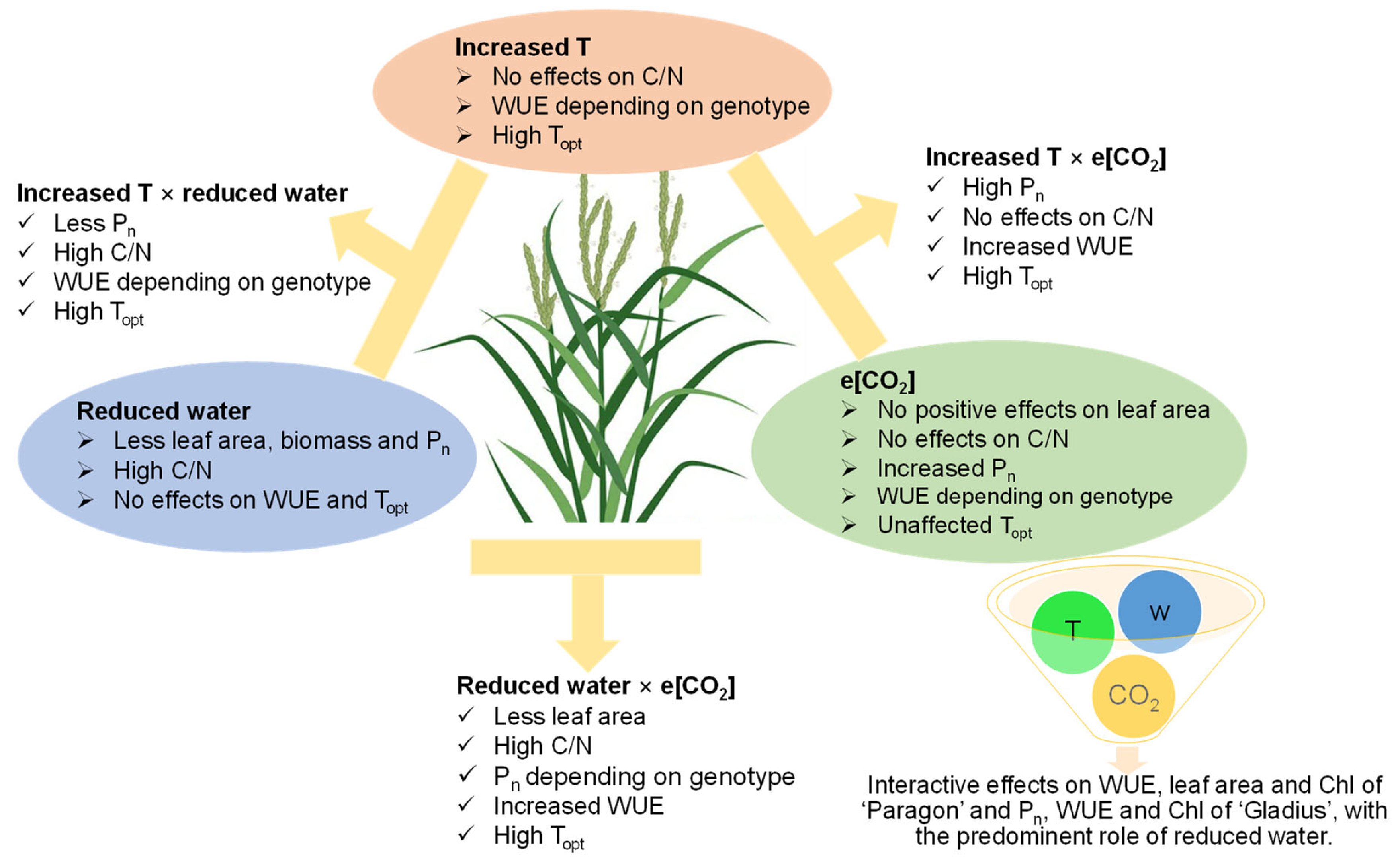 Plants 13 00830 g007