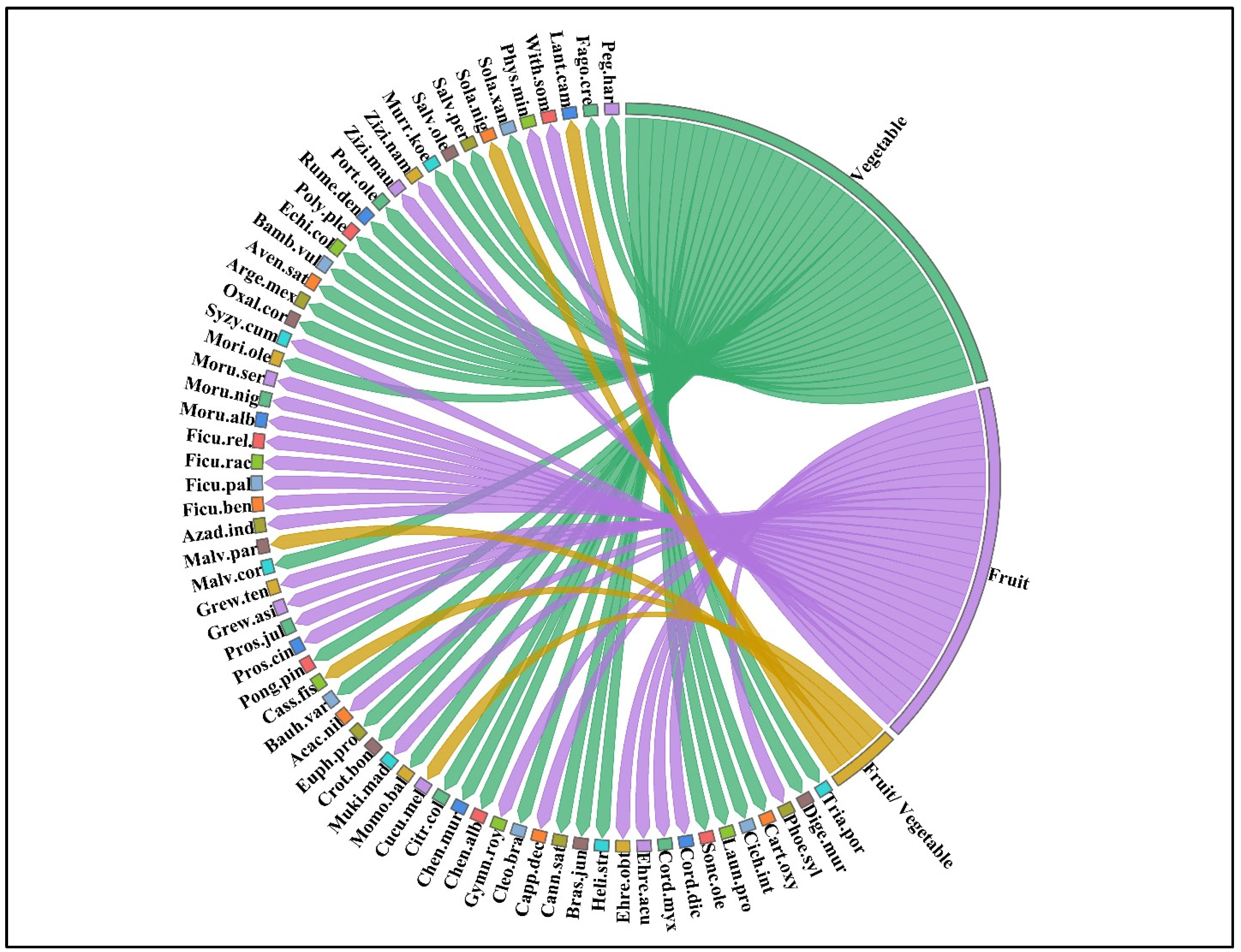 Plants 13 00832 g001