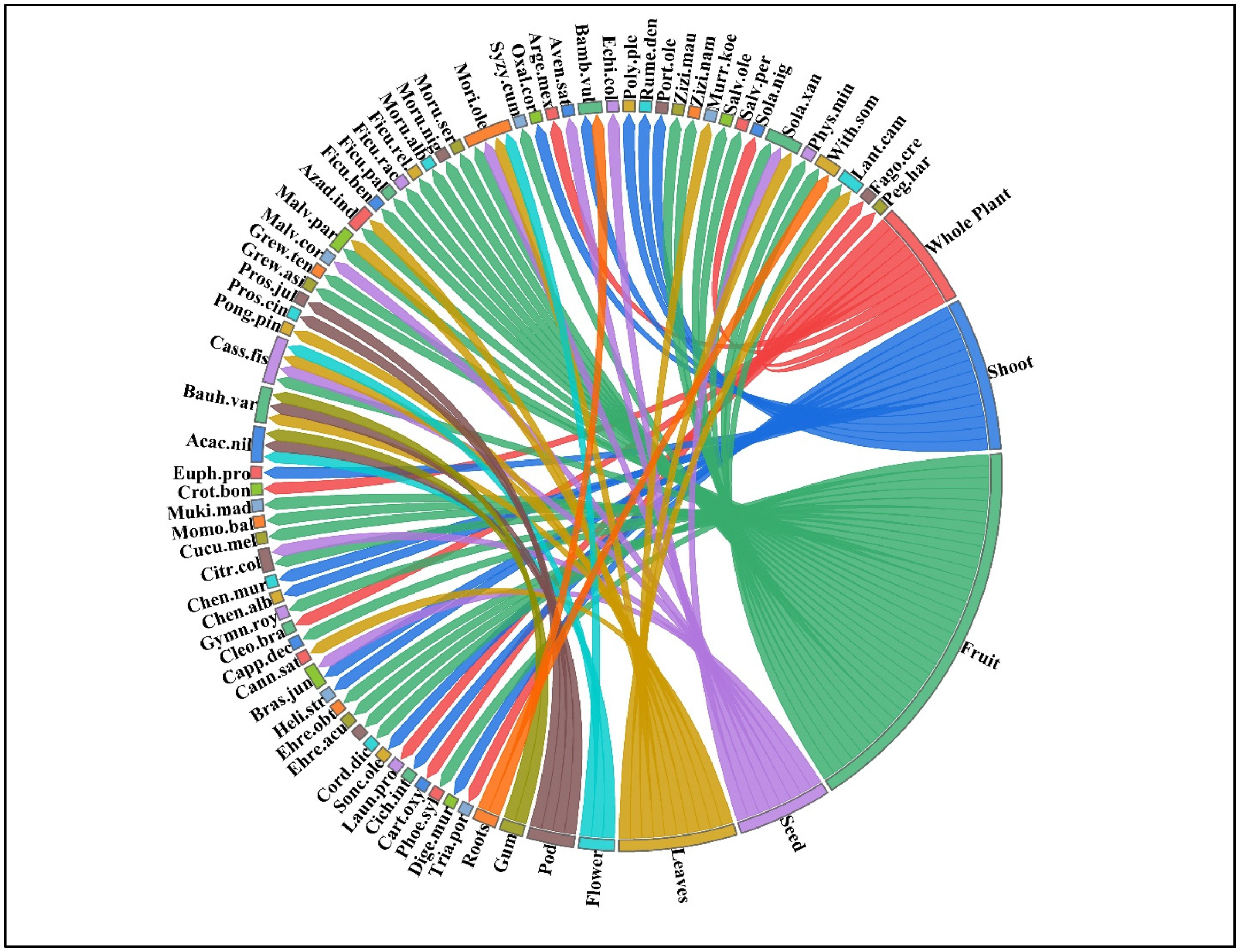 Plants 13 00832 g002