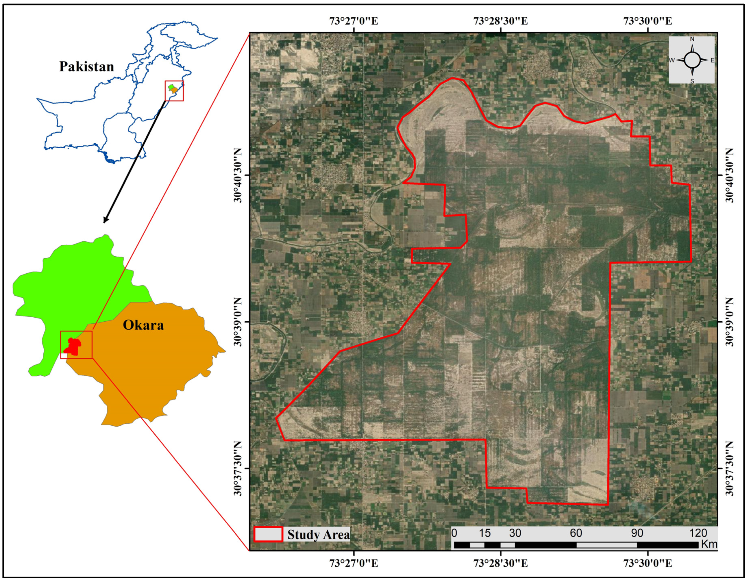 Plants 13 00832 g007