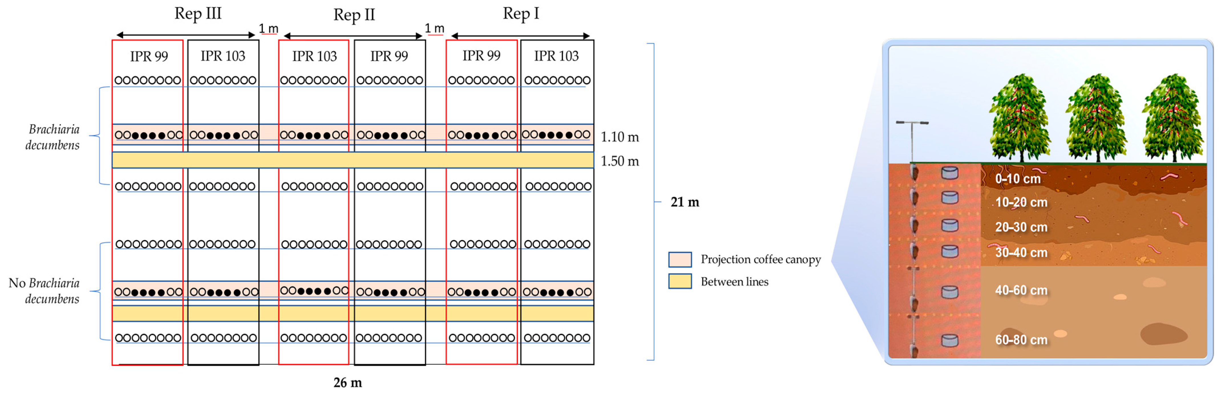 Plants 13 00835 g006 Plants 13 00835 g006