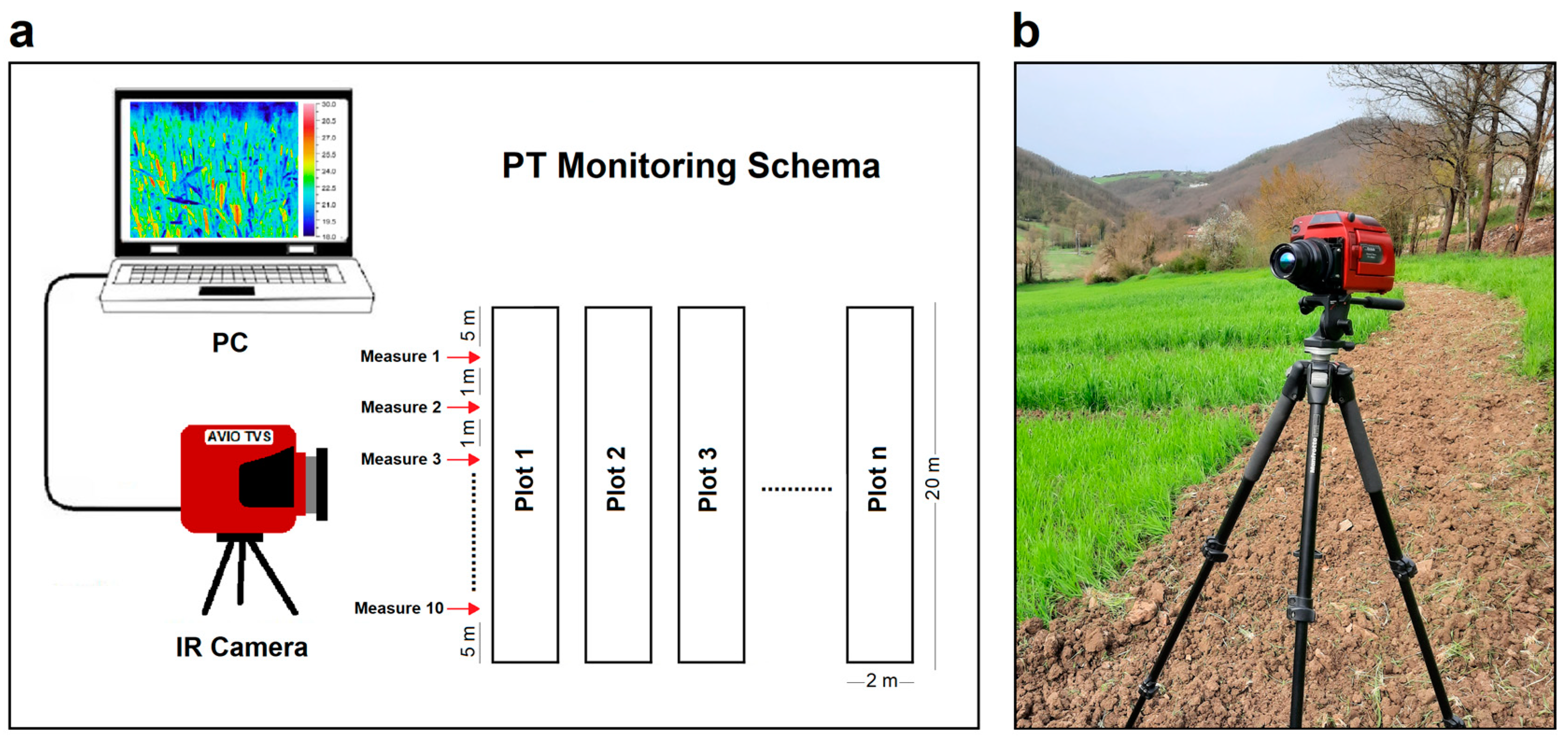 Plants 13 00836 g001