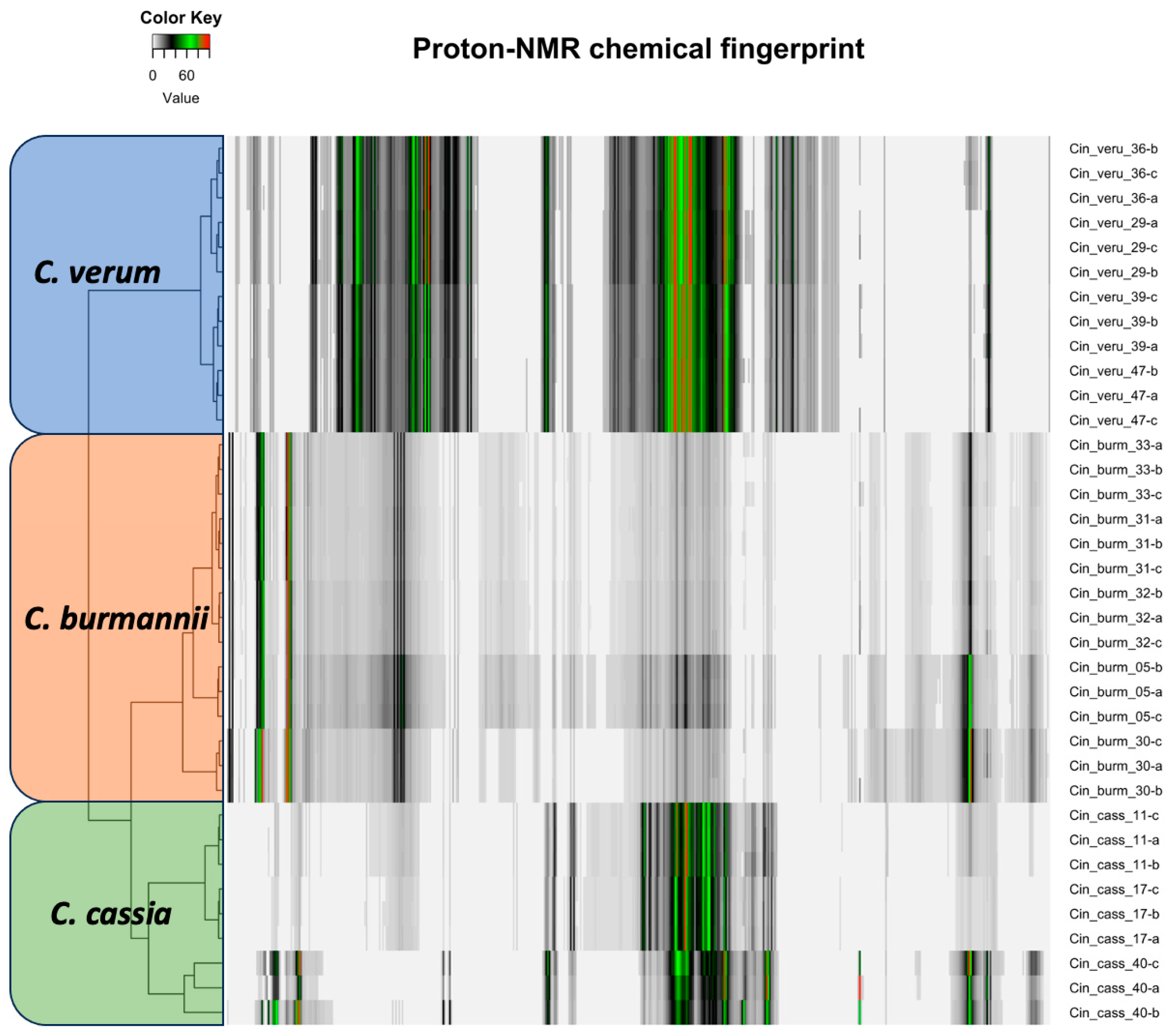 Plants 13 00841 g002