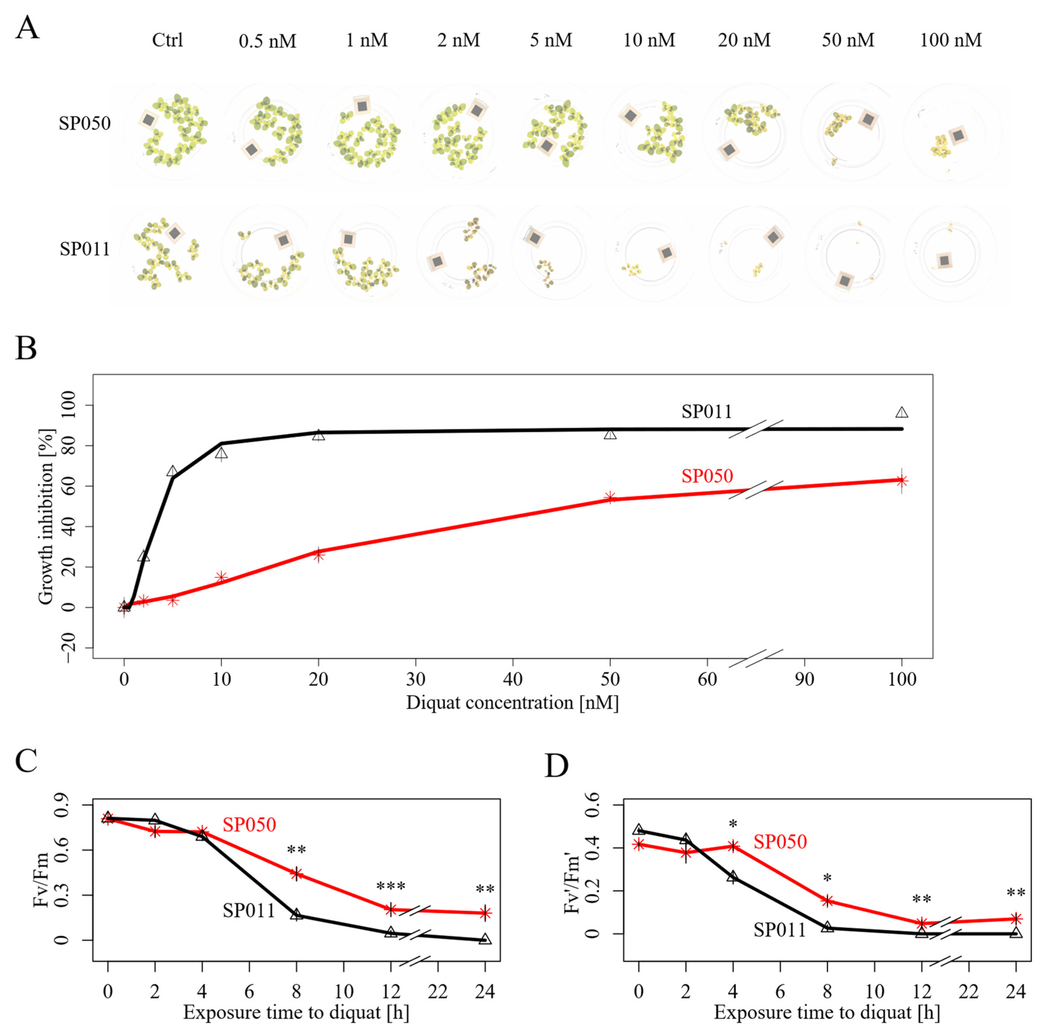 Plants 13 00845 g001