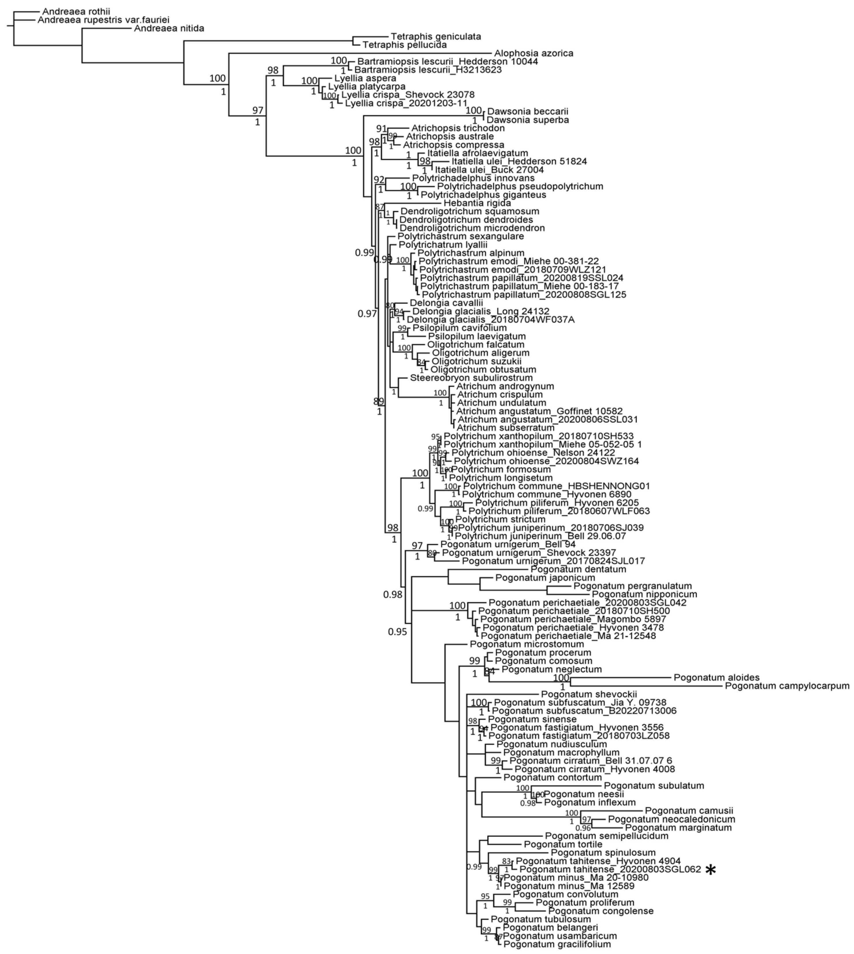 Plants 13 00846 g002 Plants 13 00846 g002