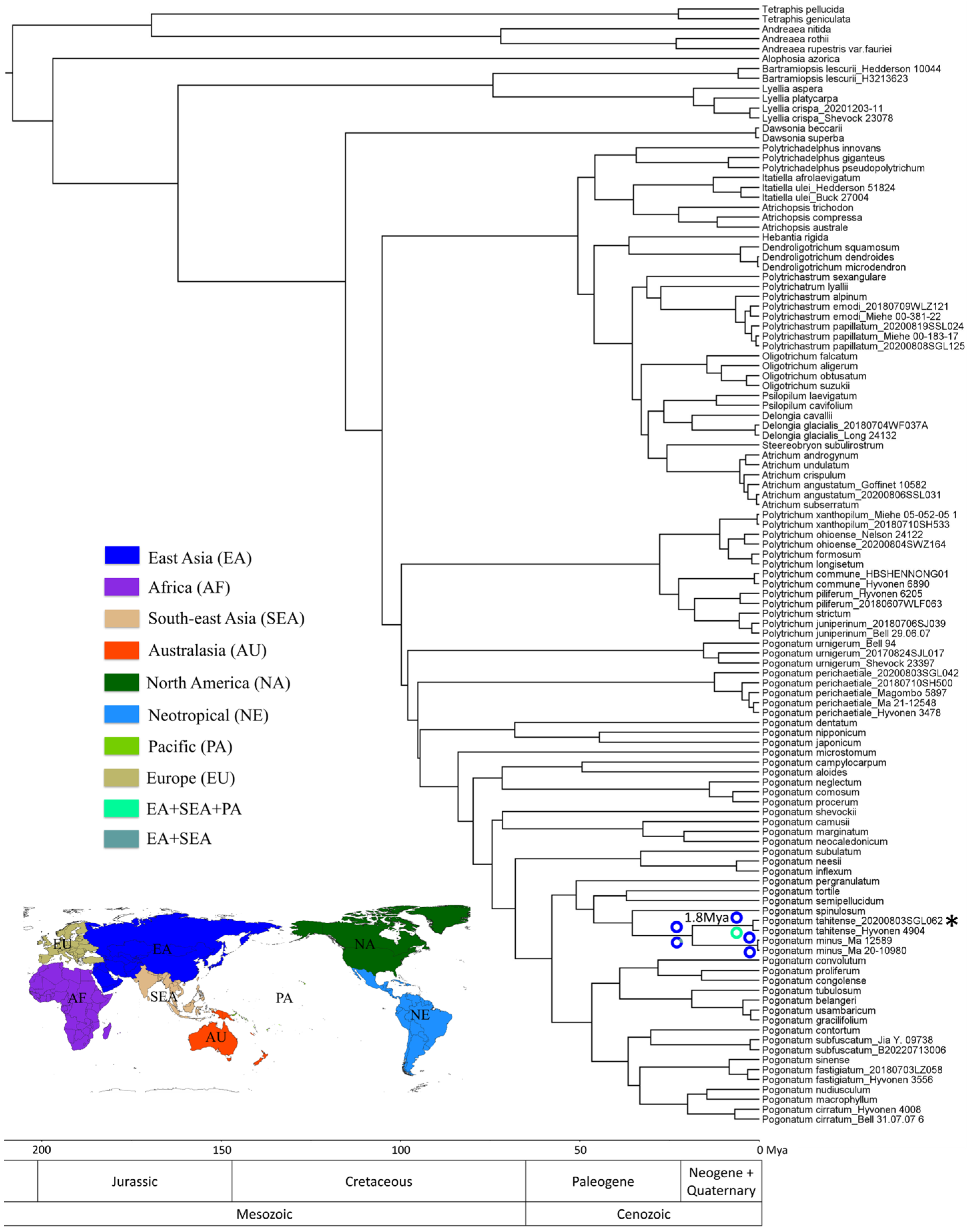 Plants 13 00846 g003 Plants 13 00846 g003