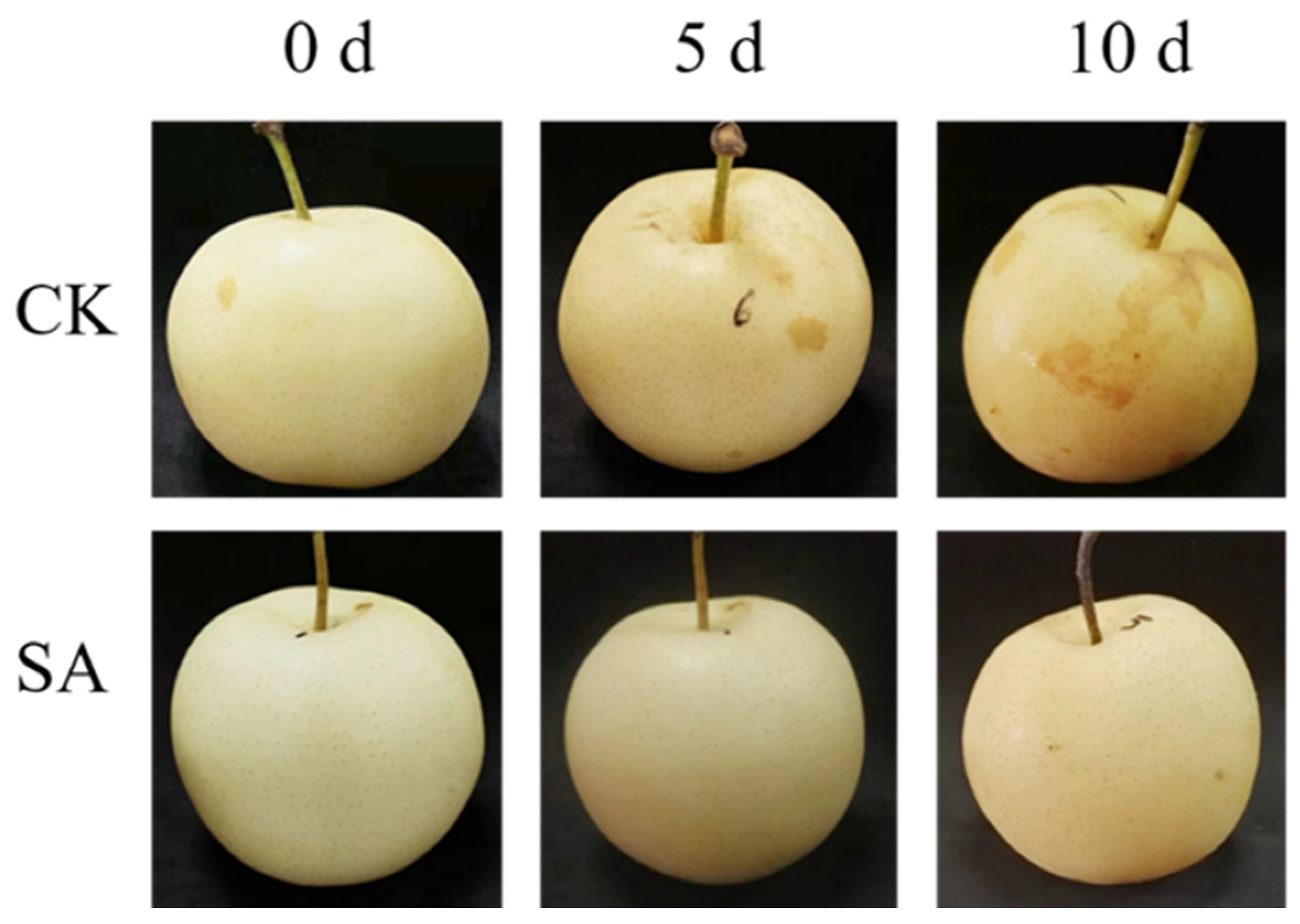 Plants 13 00848 g001 Plants 13 00848 g001