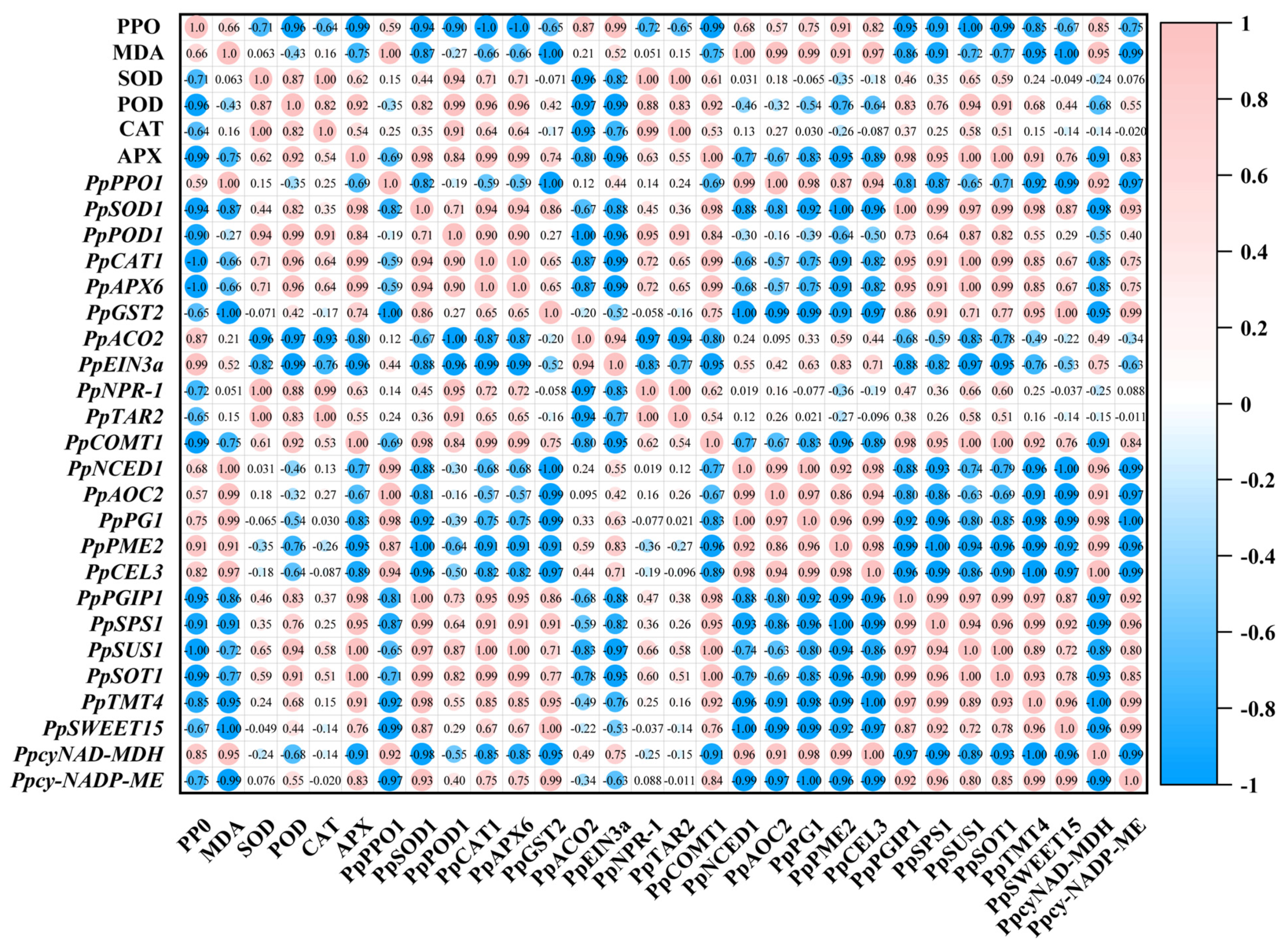 Plants 13 00848 g008 Plants 13 00848 g008