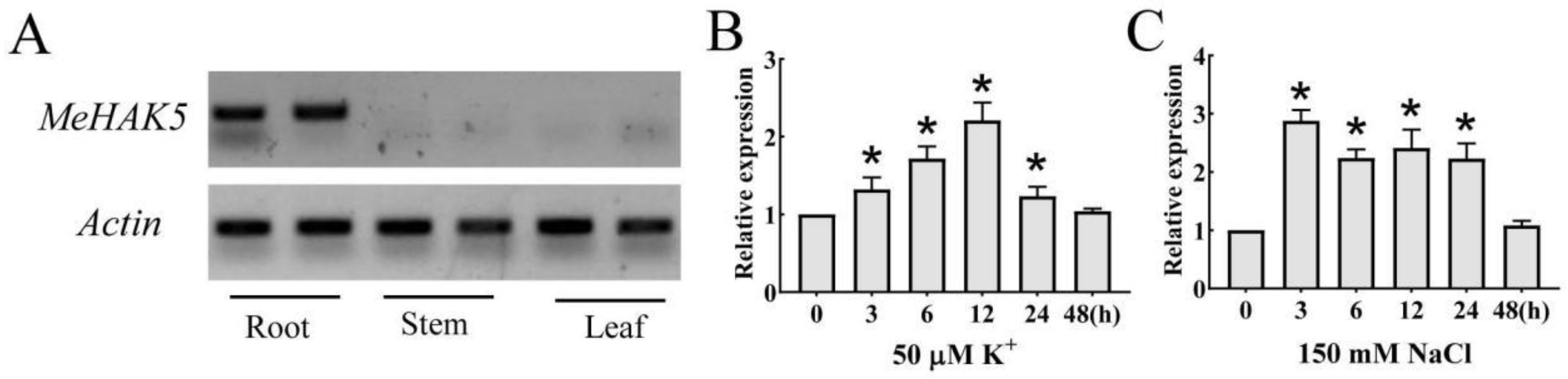 Plants 13 00849 g002
