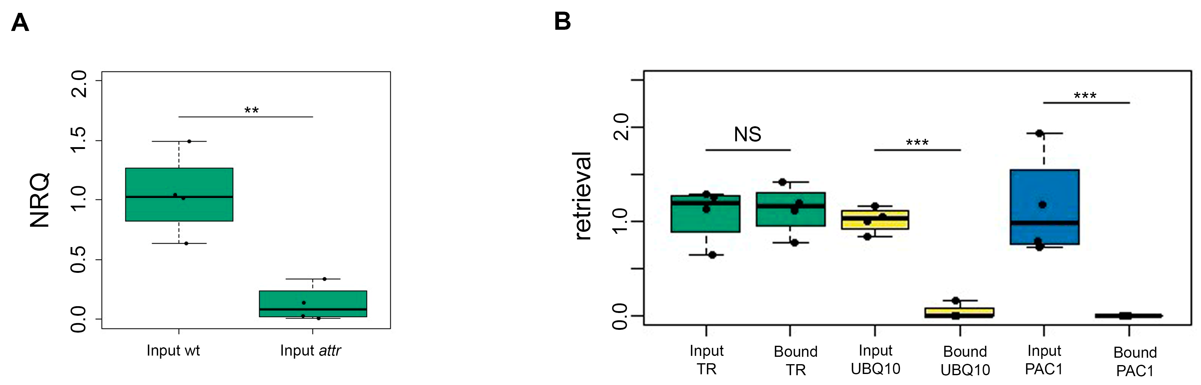 Plants 13 00850 g003