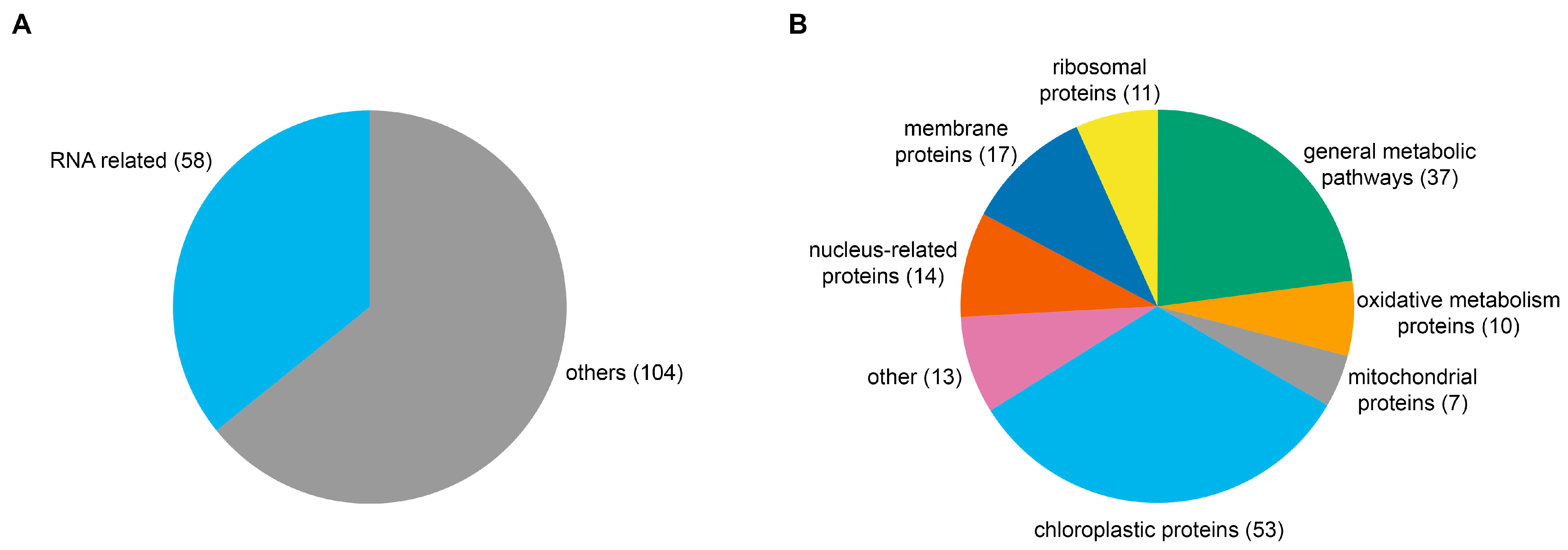 Plants 13 00850 g005