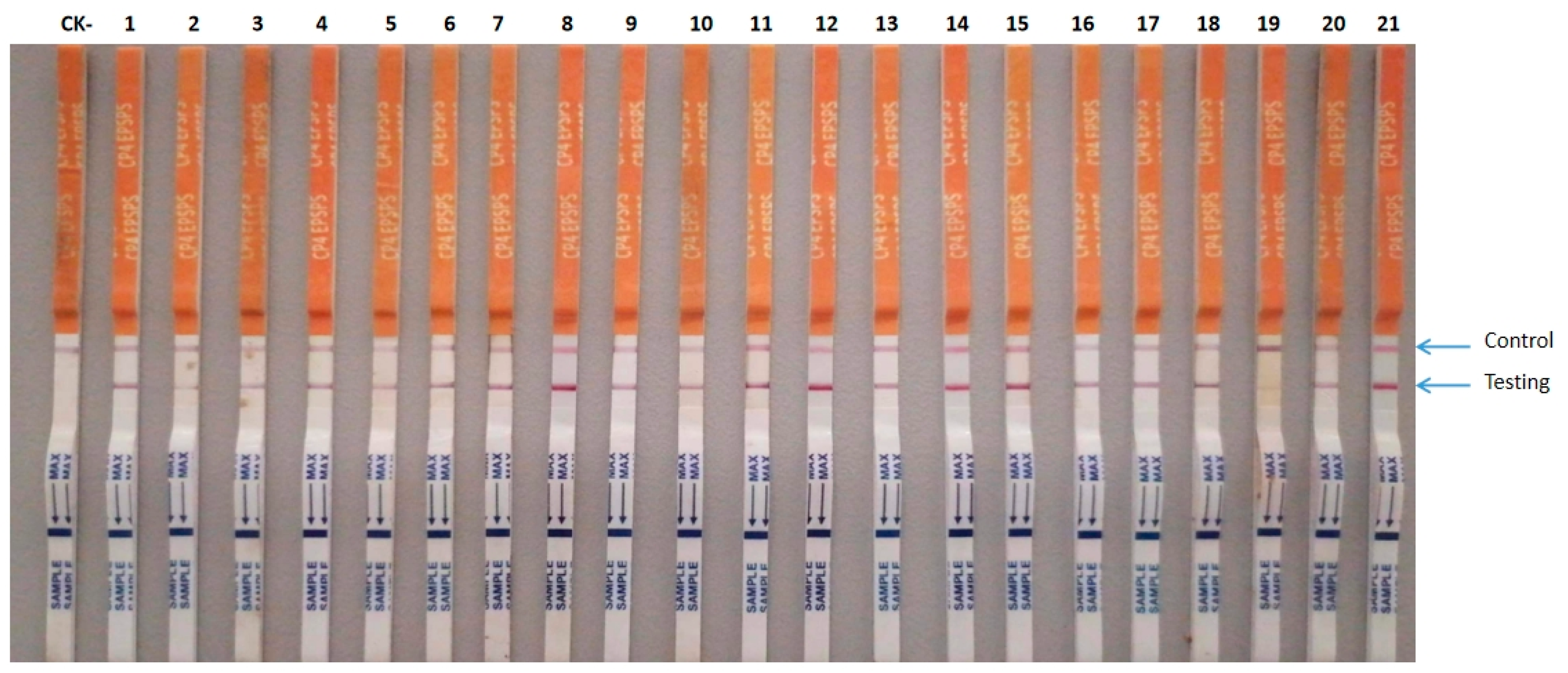 Plants 13 00852 g006