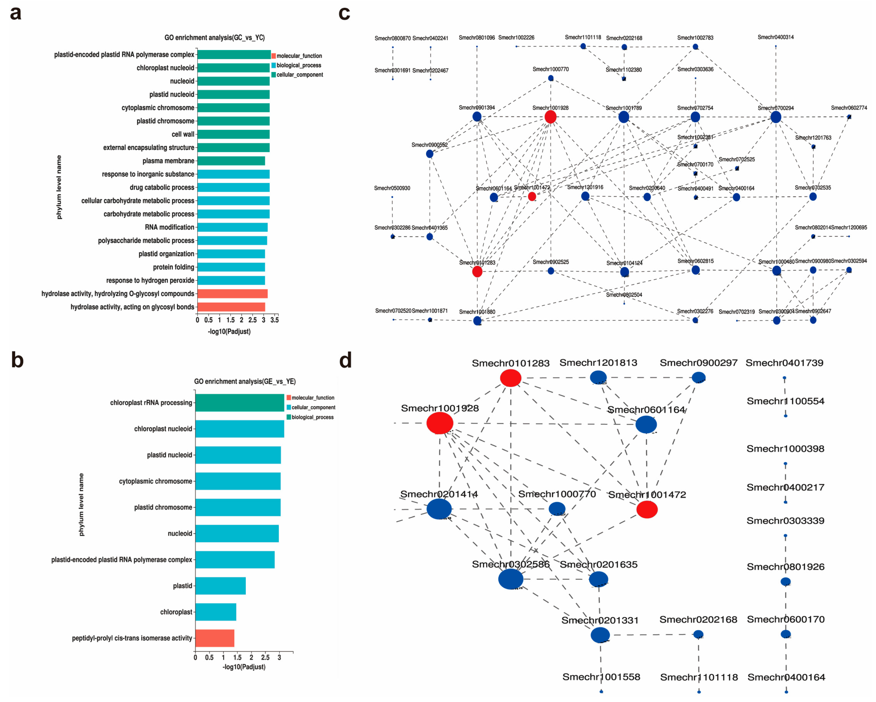 Plants 13 00855 g004 Plants 13 00855 g004