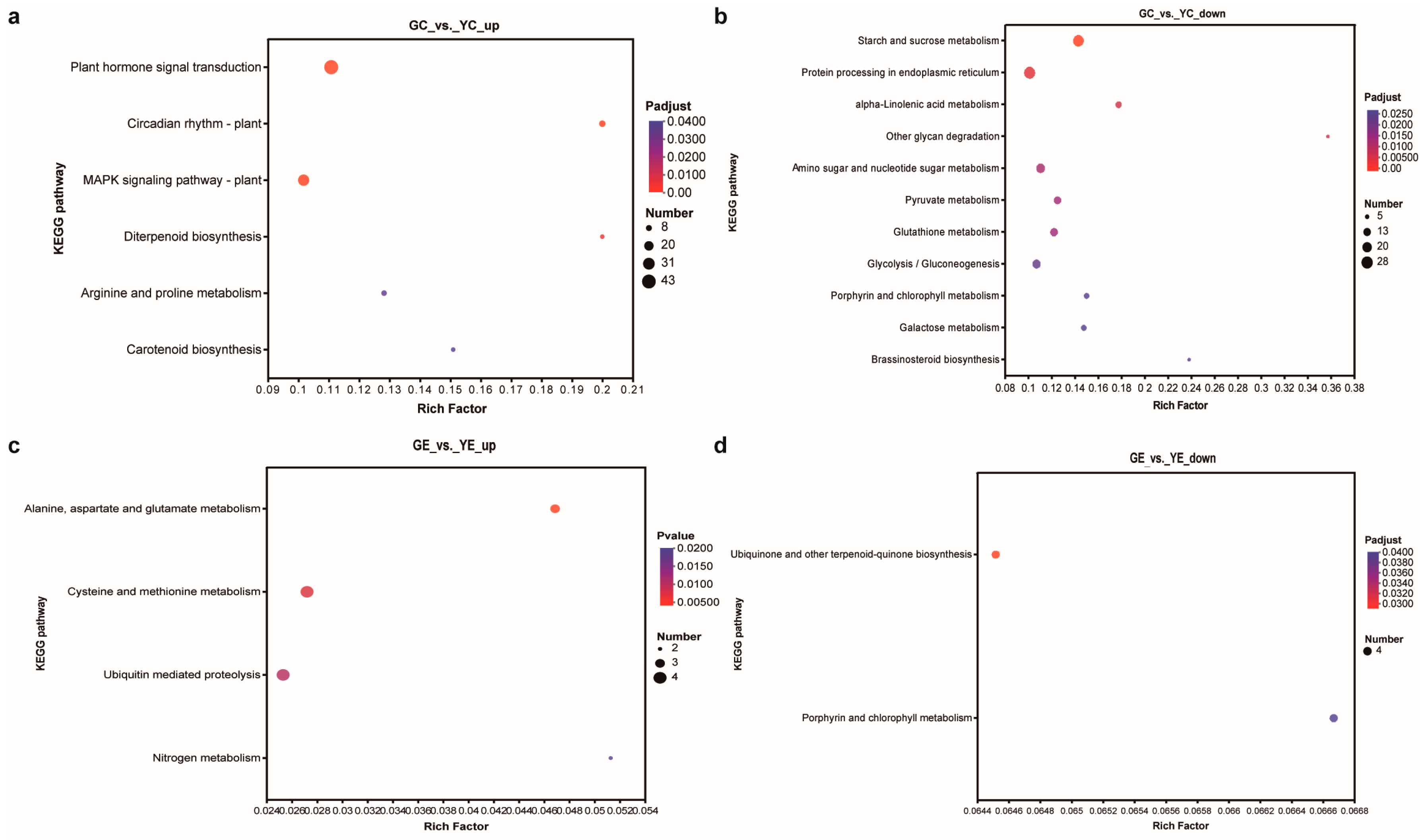 Plants 13 00855 g005 Plants 13 00855 g005