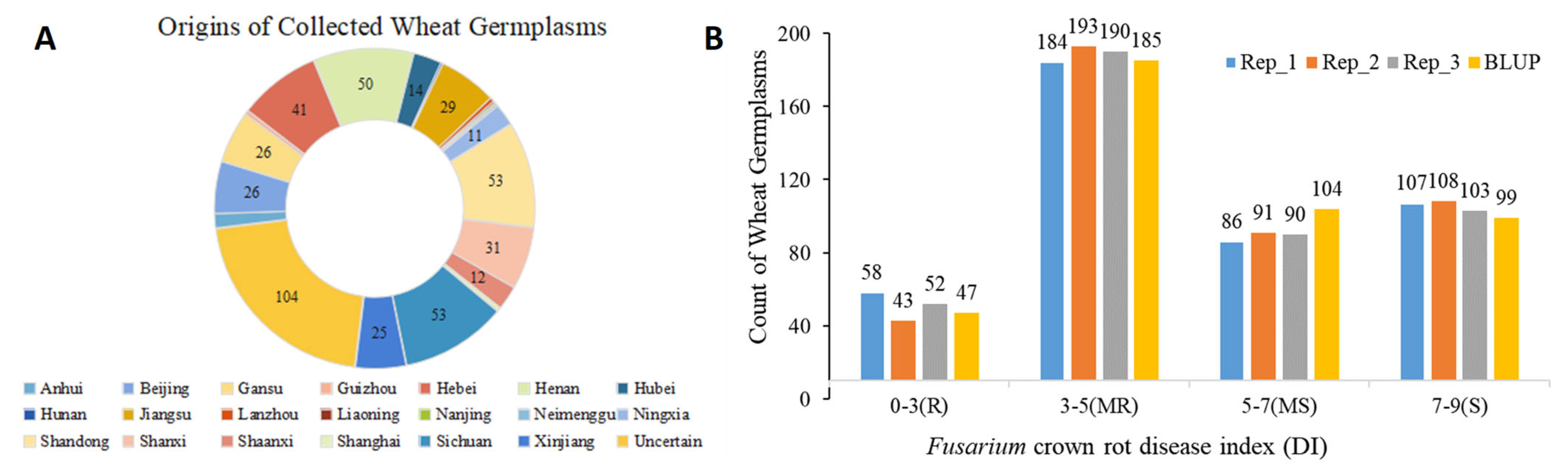 Plants 13 00856 g001