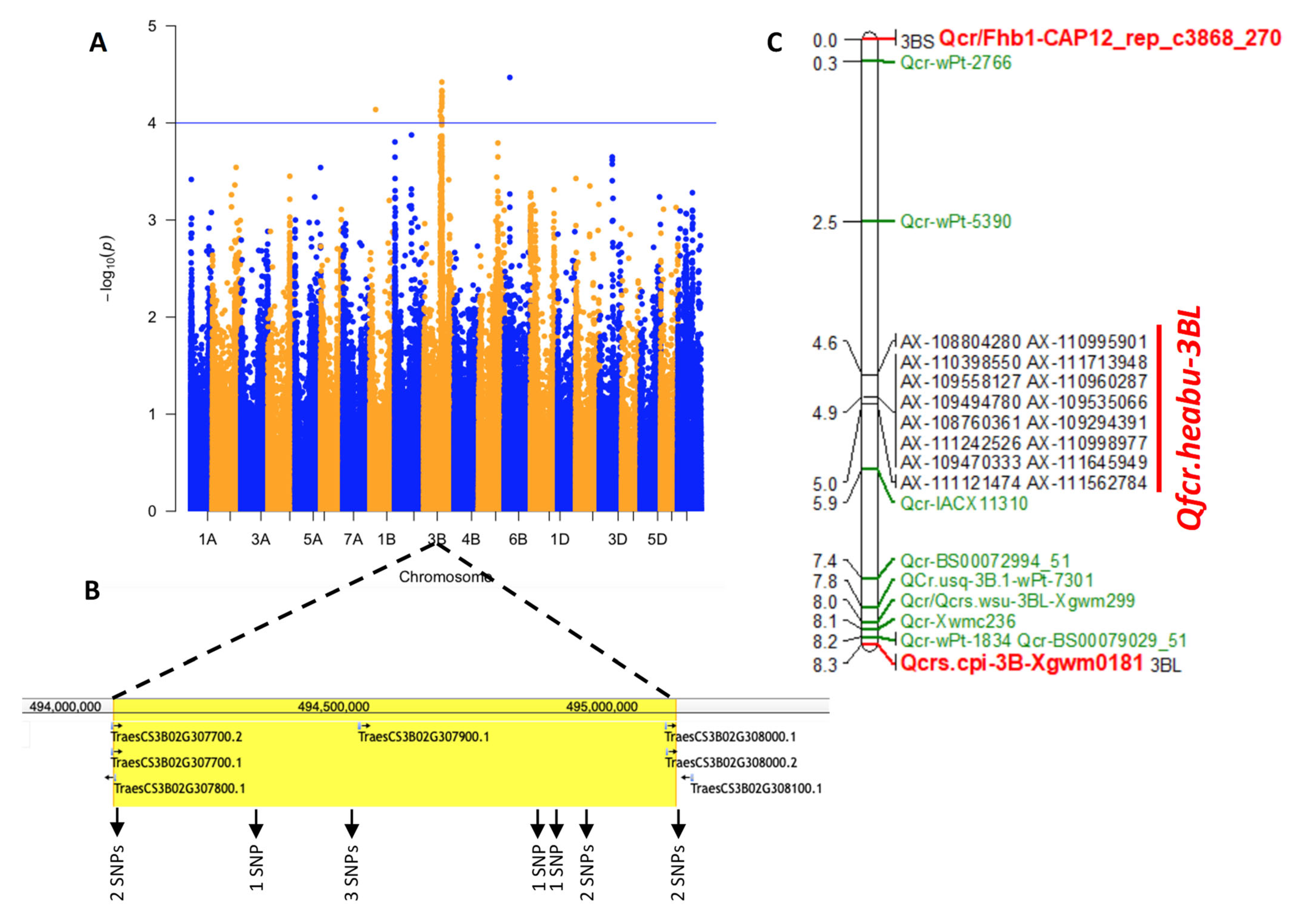 Plants 13 00856 g002