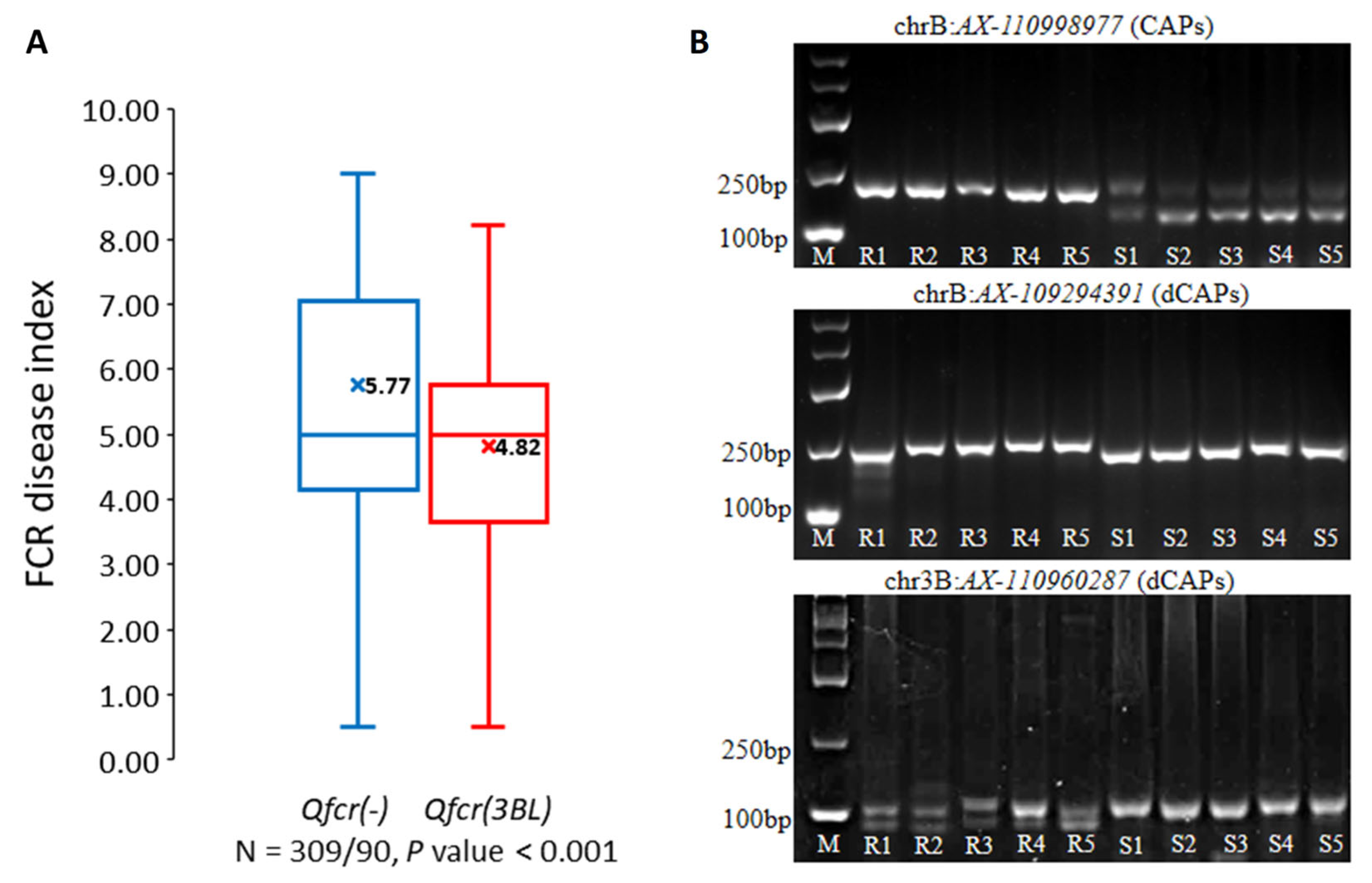 Plants 13 00856 g003