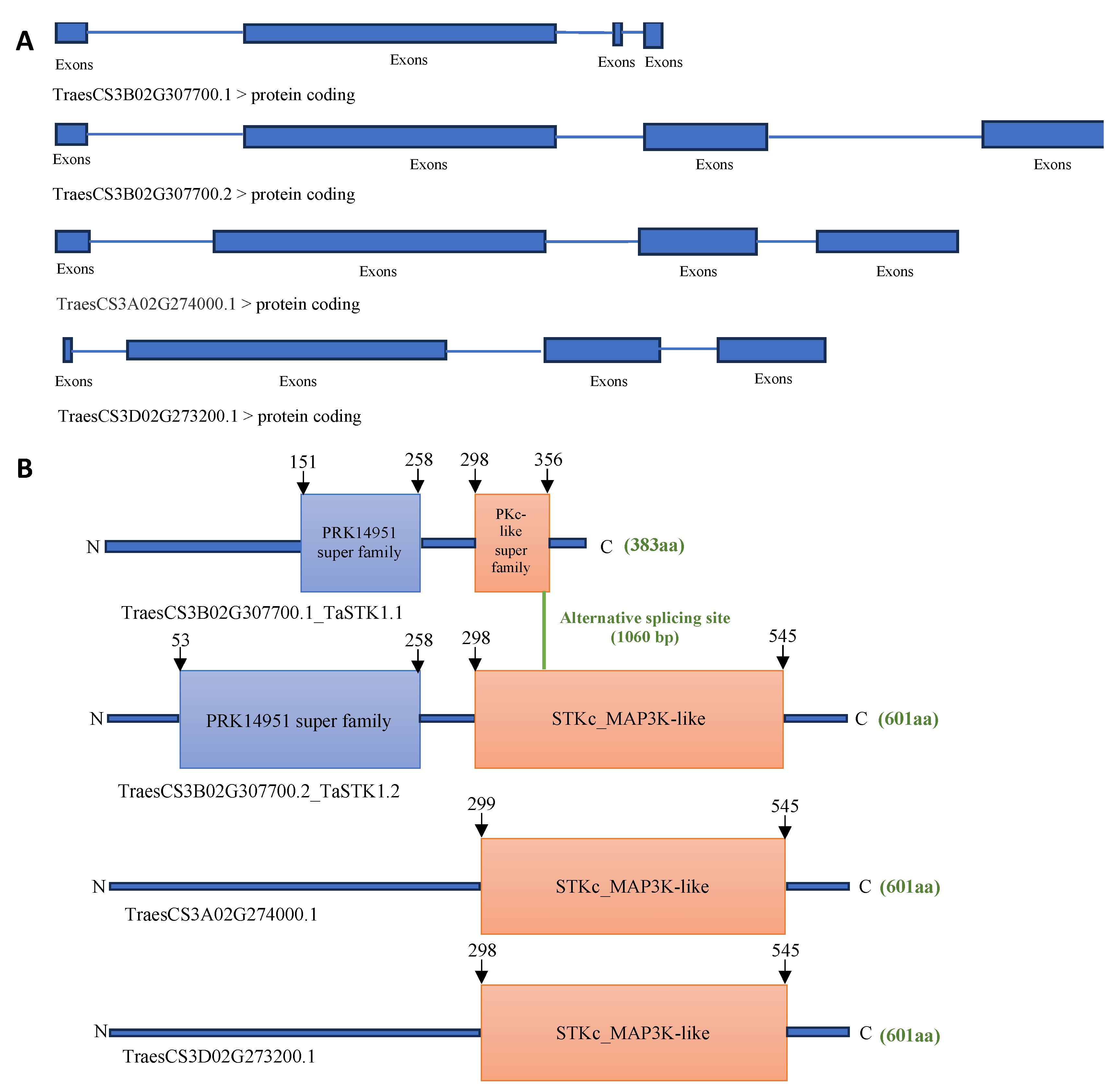 Plants 13 00856 g005