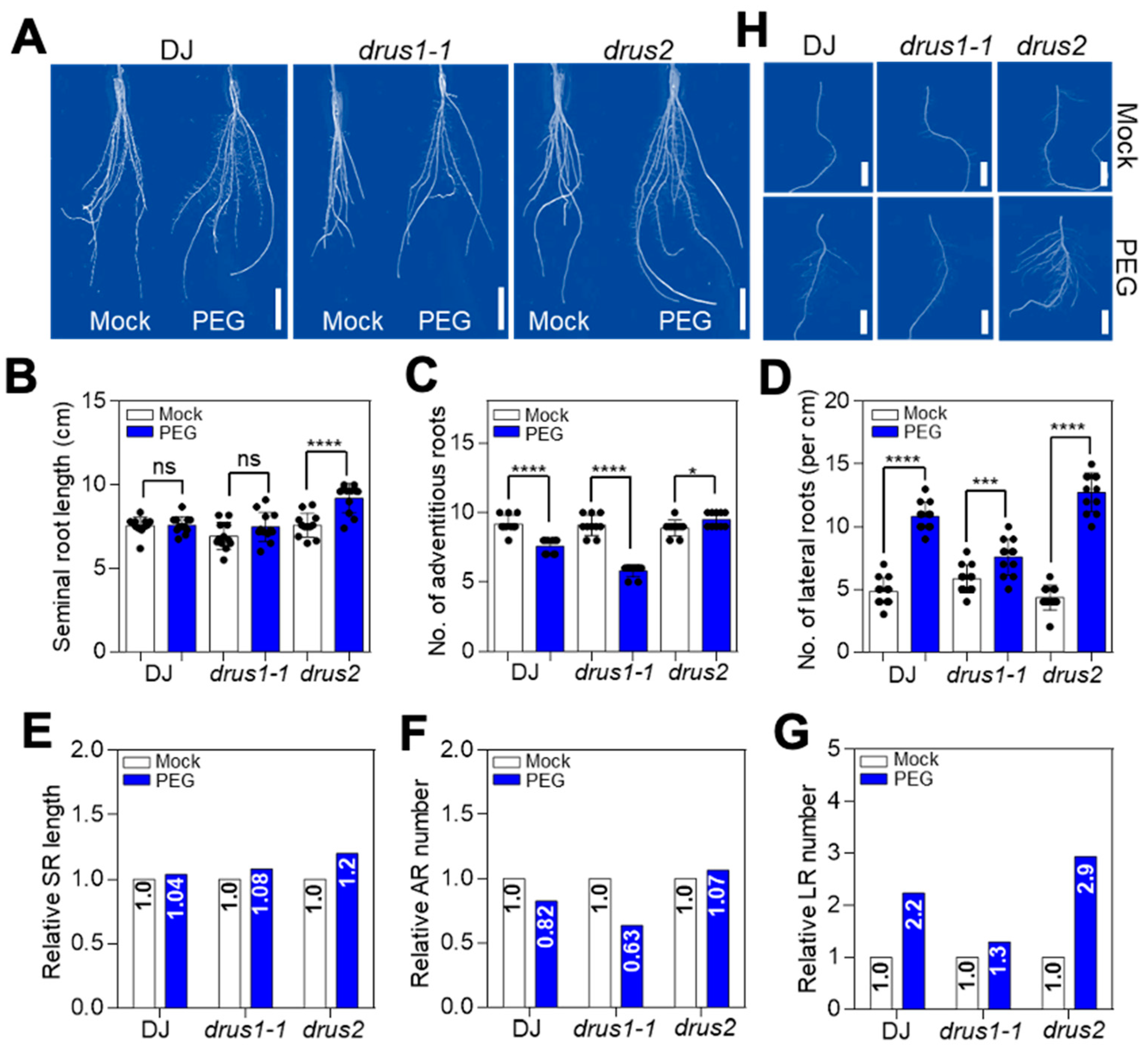 Plants 13 00860 g003