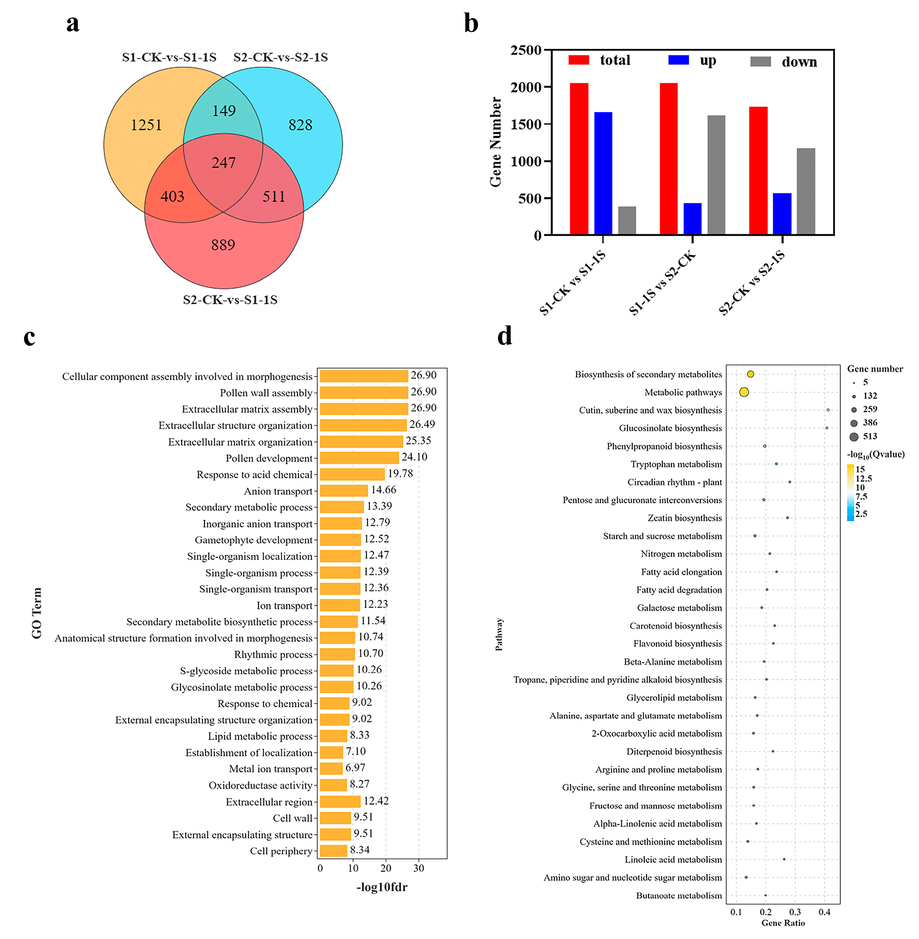 Plants 13 00866 g008