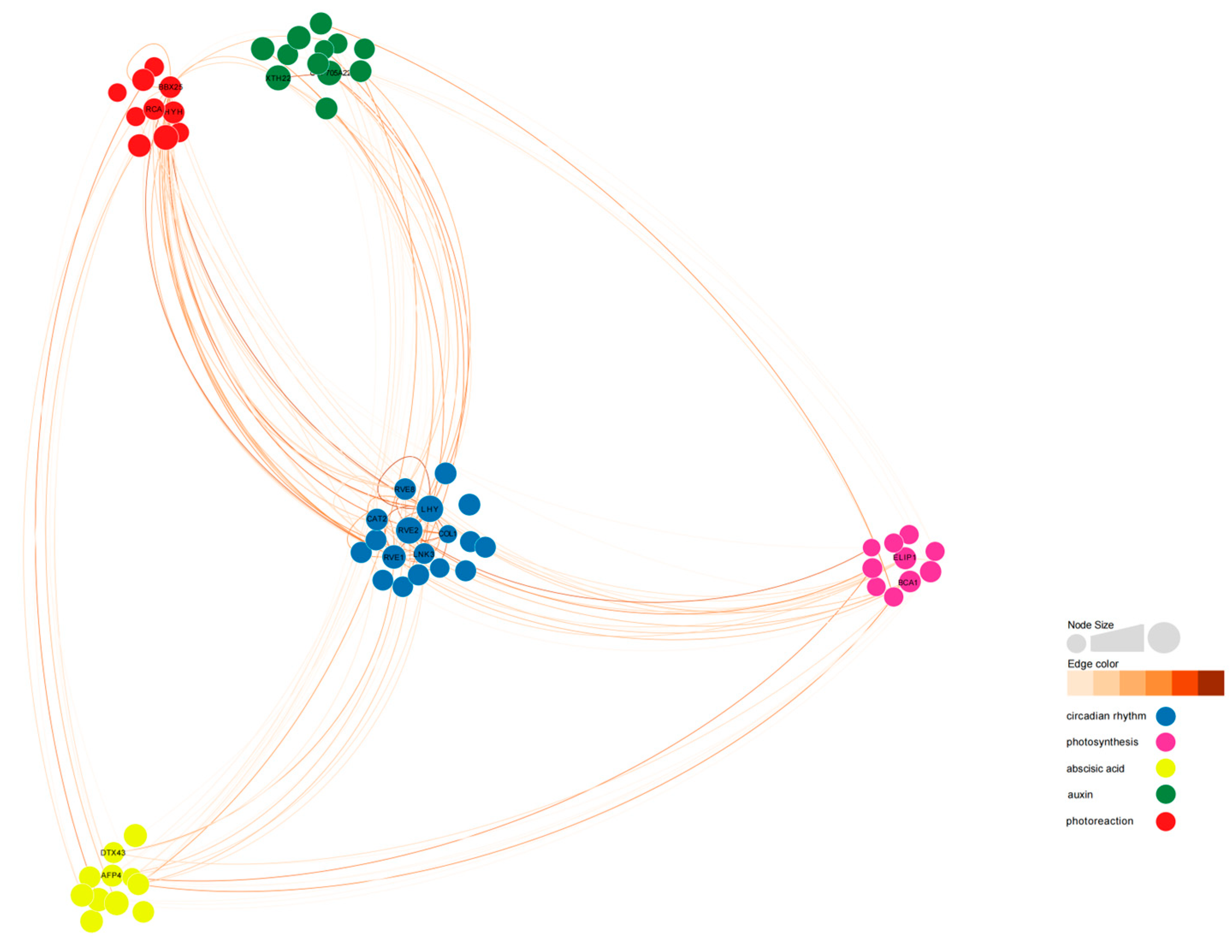 Plants 13 00866 g012