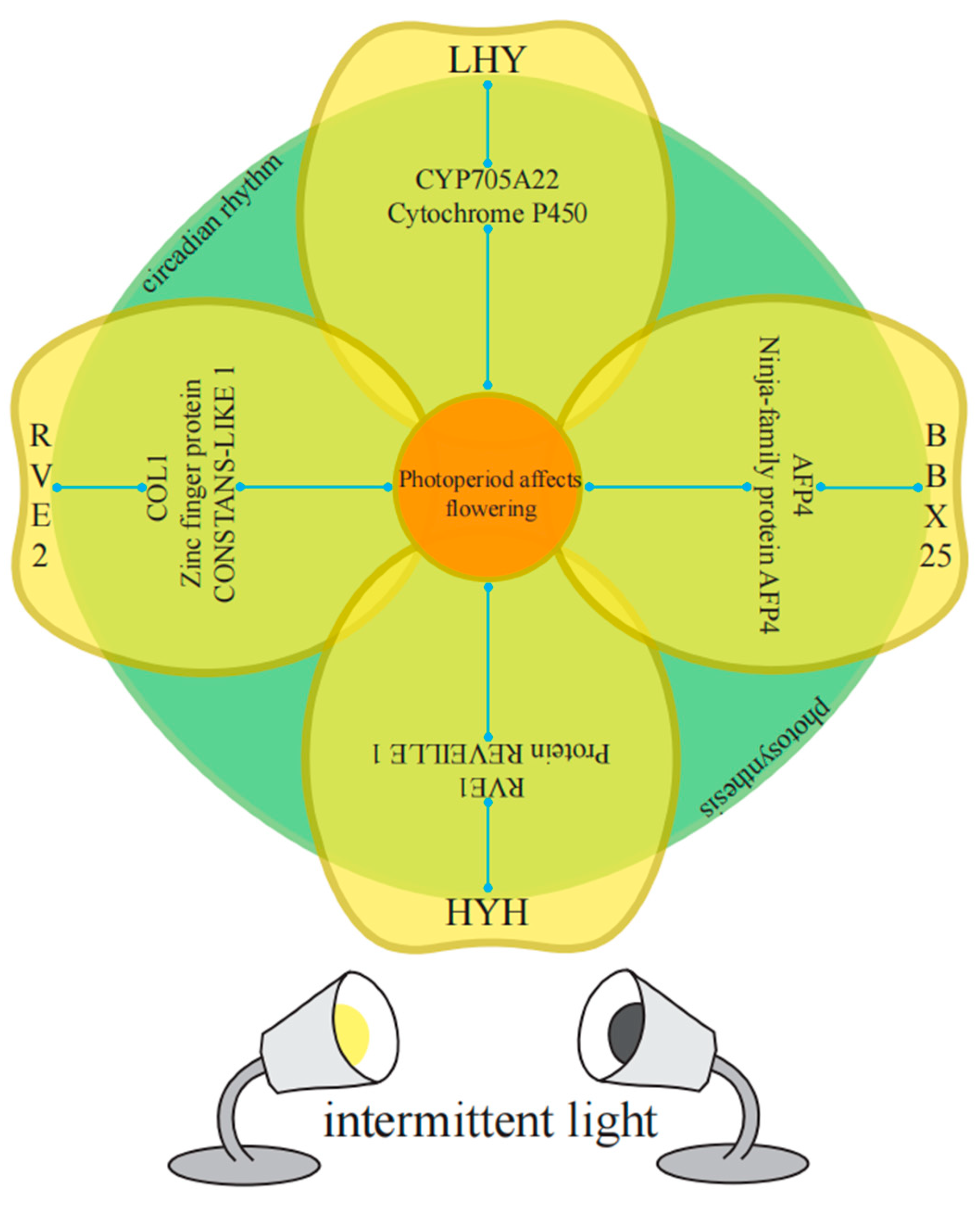Plants 13 00866 g013