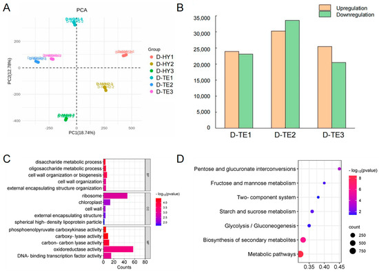 Integrated Transcriptome and Proteome Analysis Reveals That Cell Wall ...