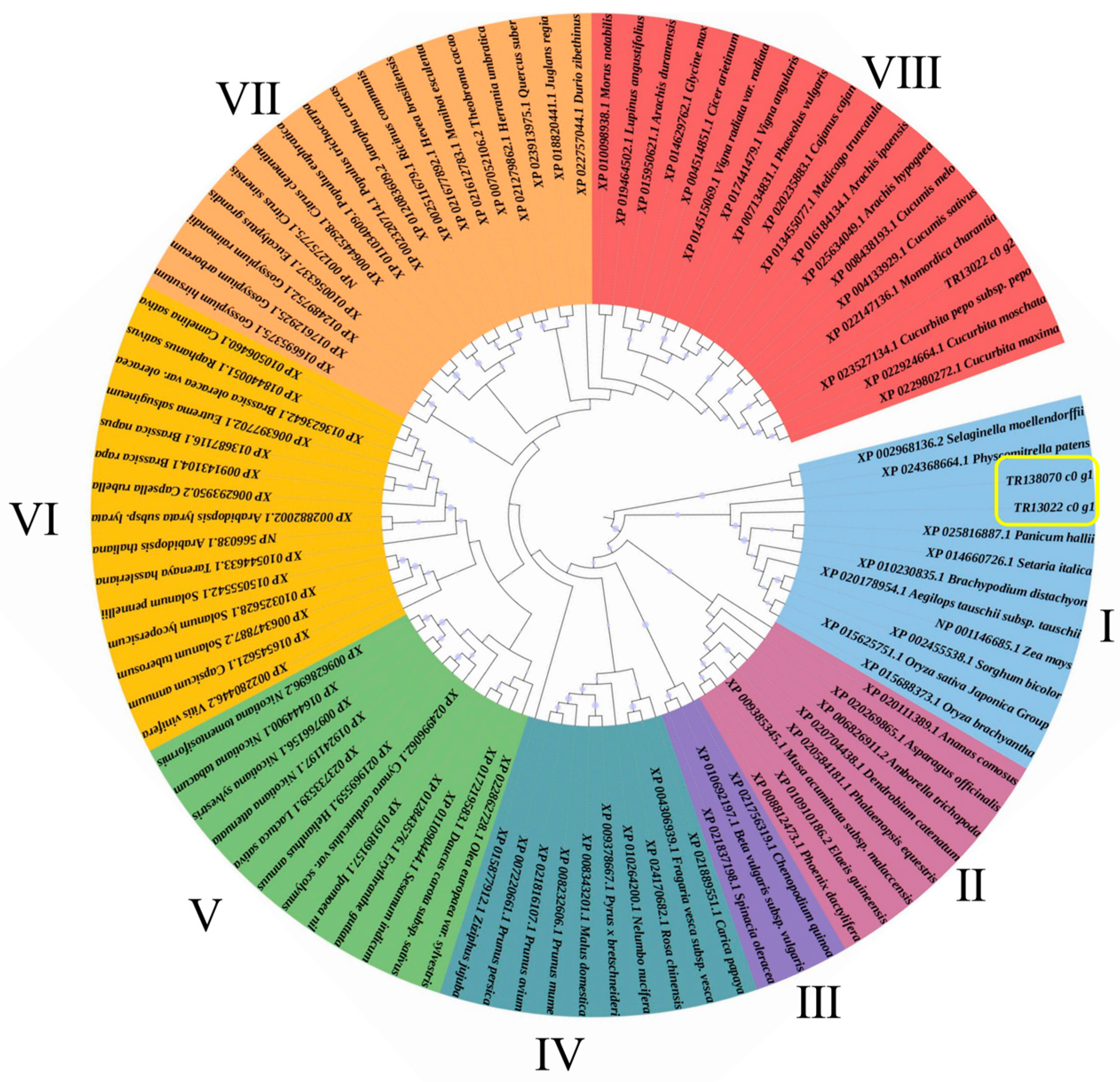 Plants 13 00869 g005