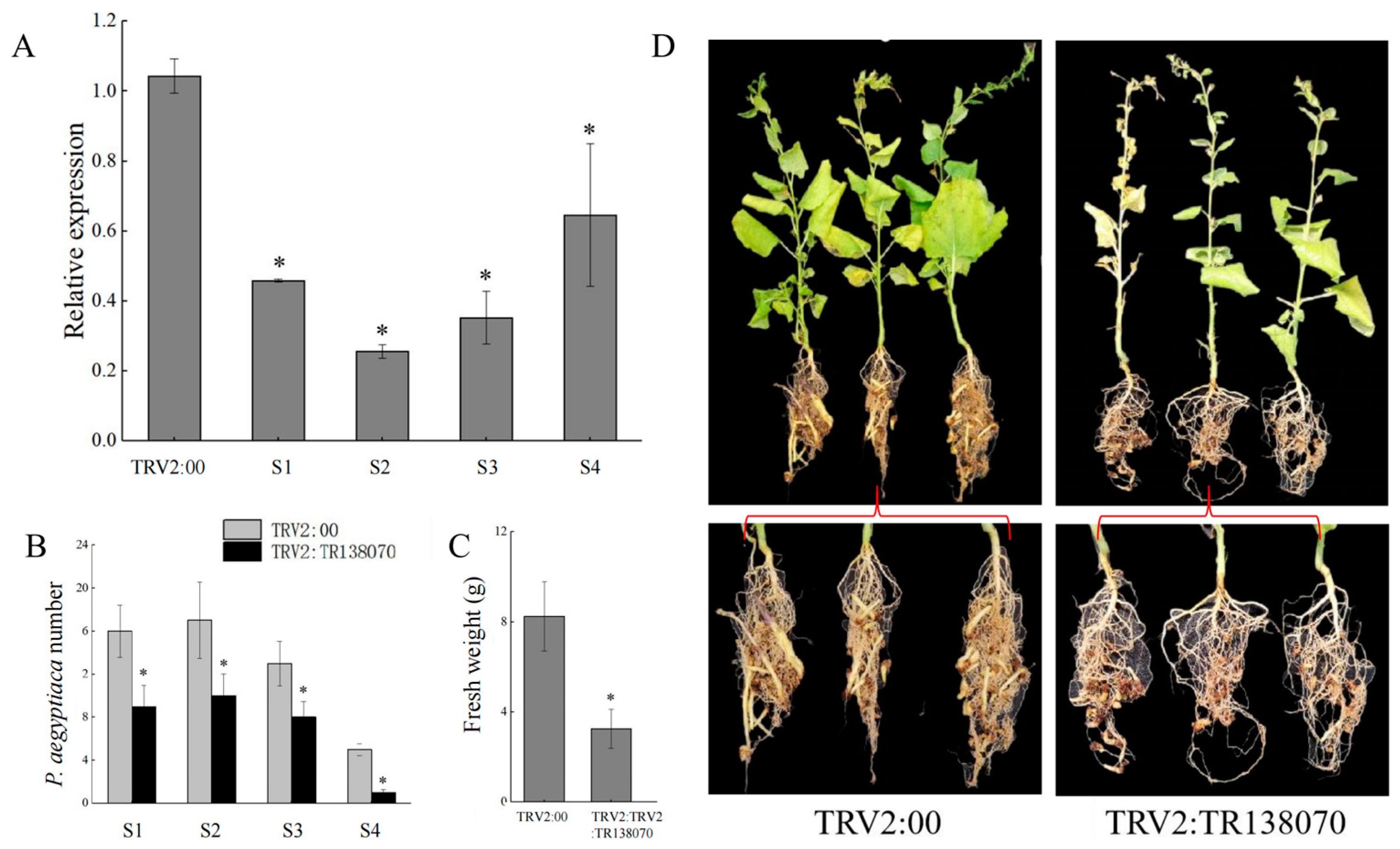 Plants 13 00869 g006