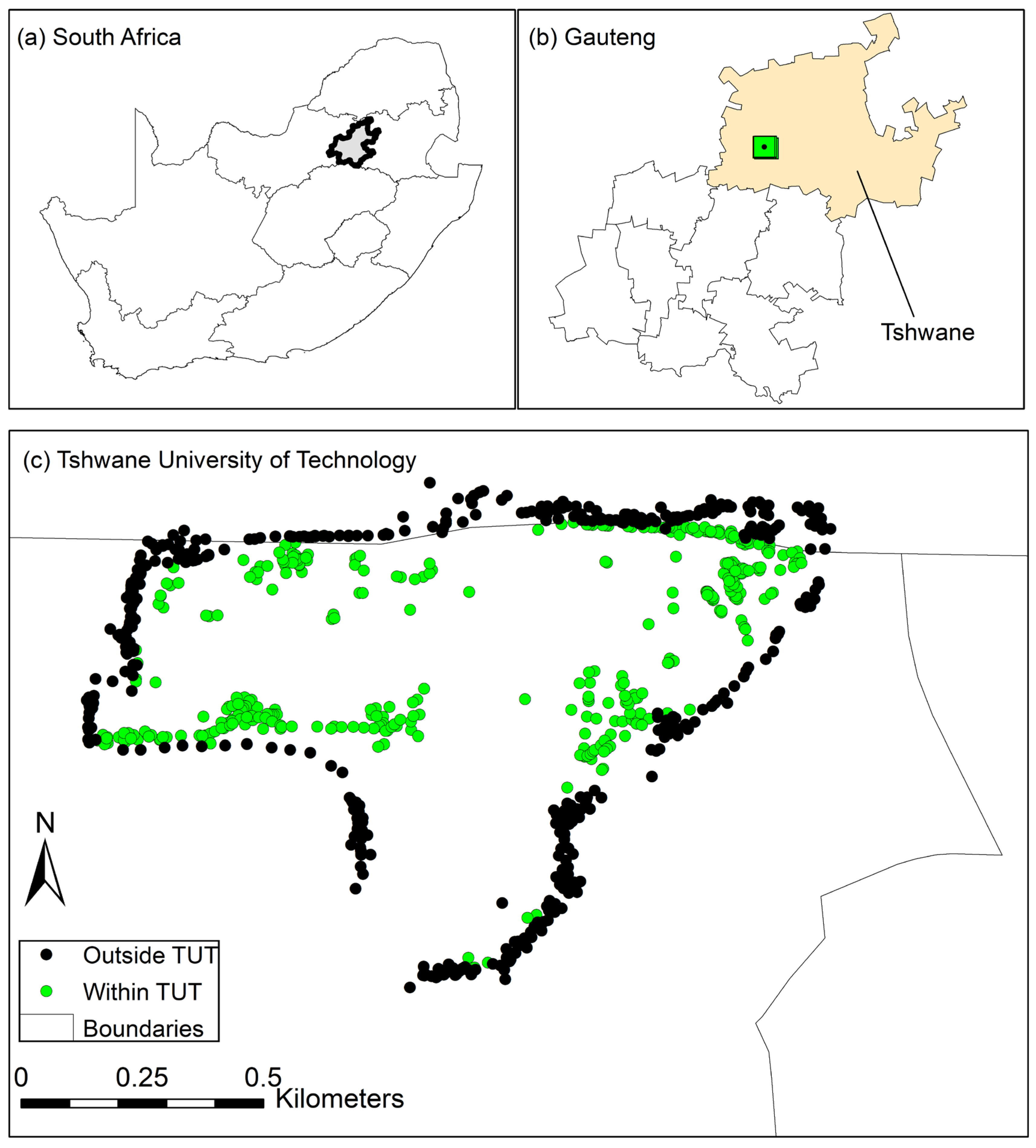 Plants 13 00872 g008