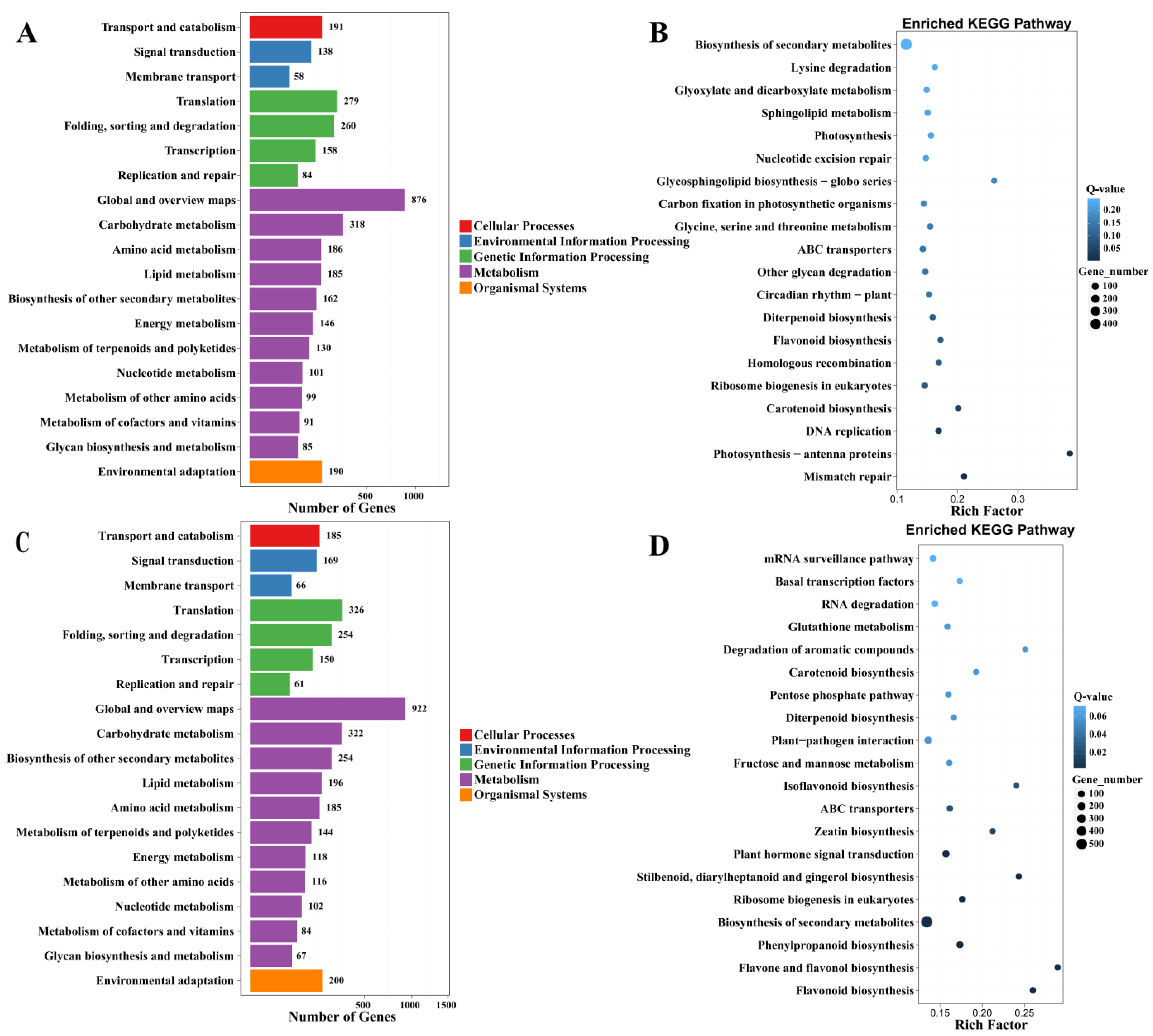 Plants 13 00874 g006