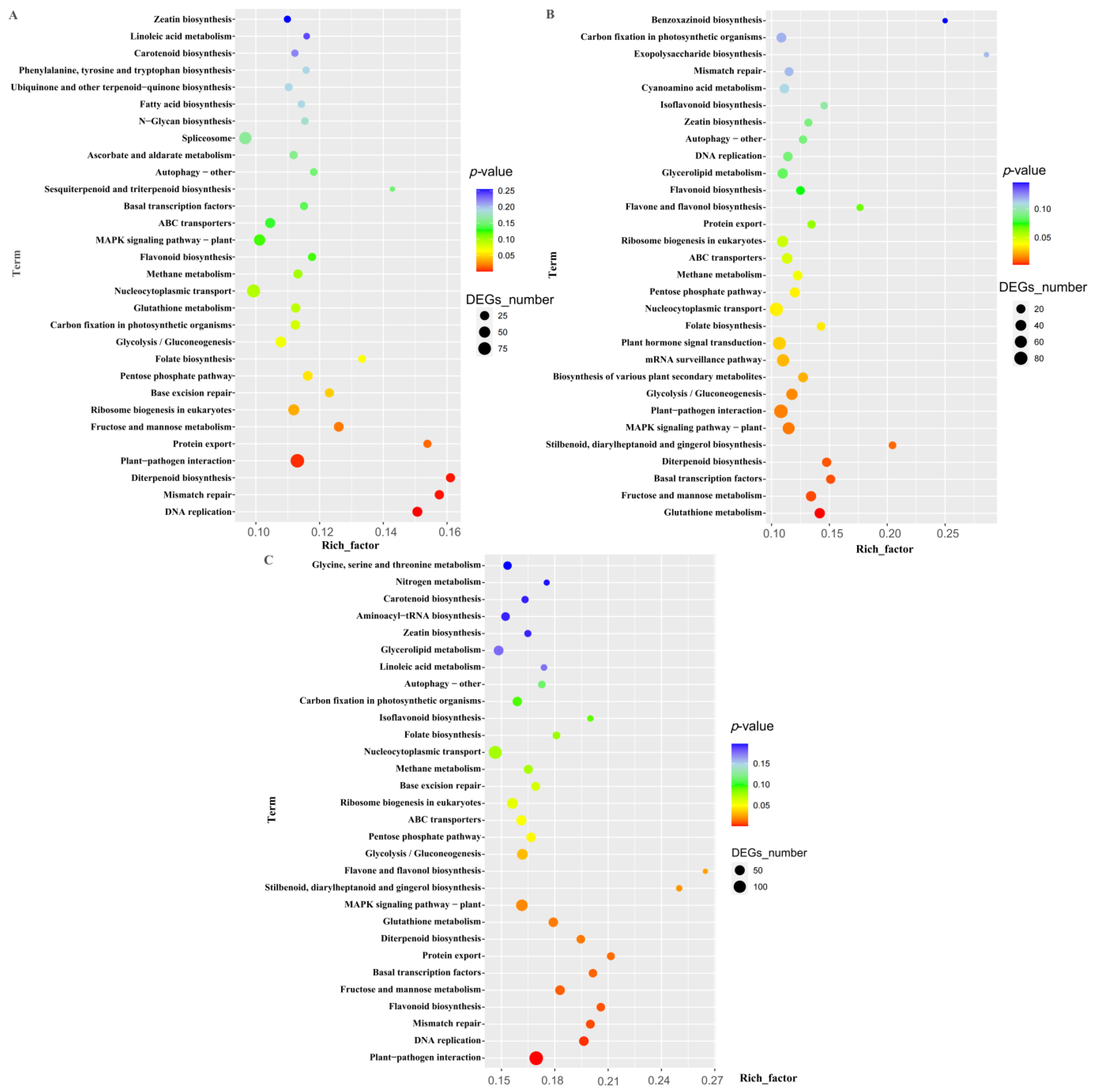 Plants 13 00874 g007