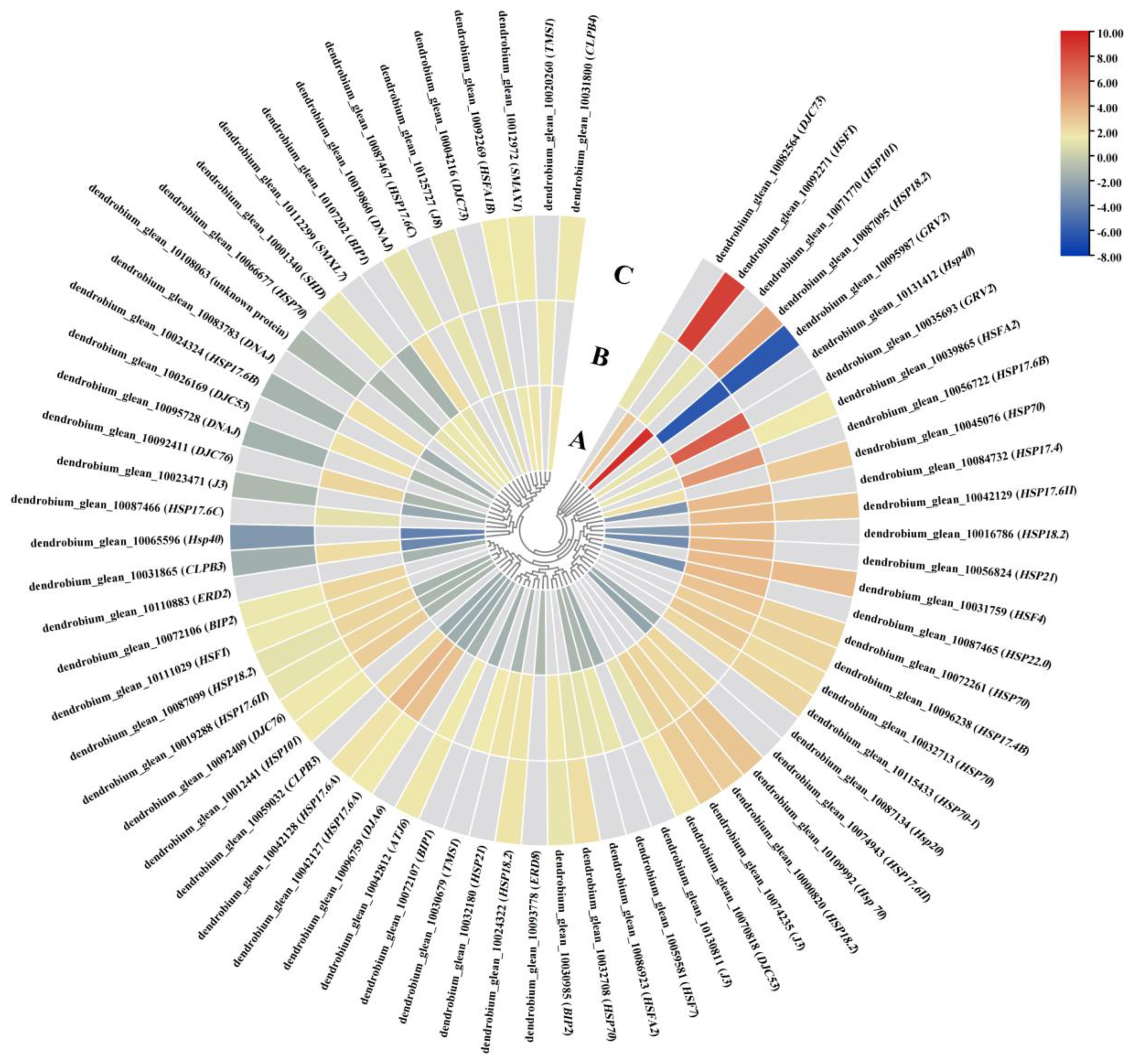 Plants 13 00874 g011