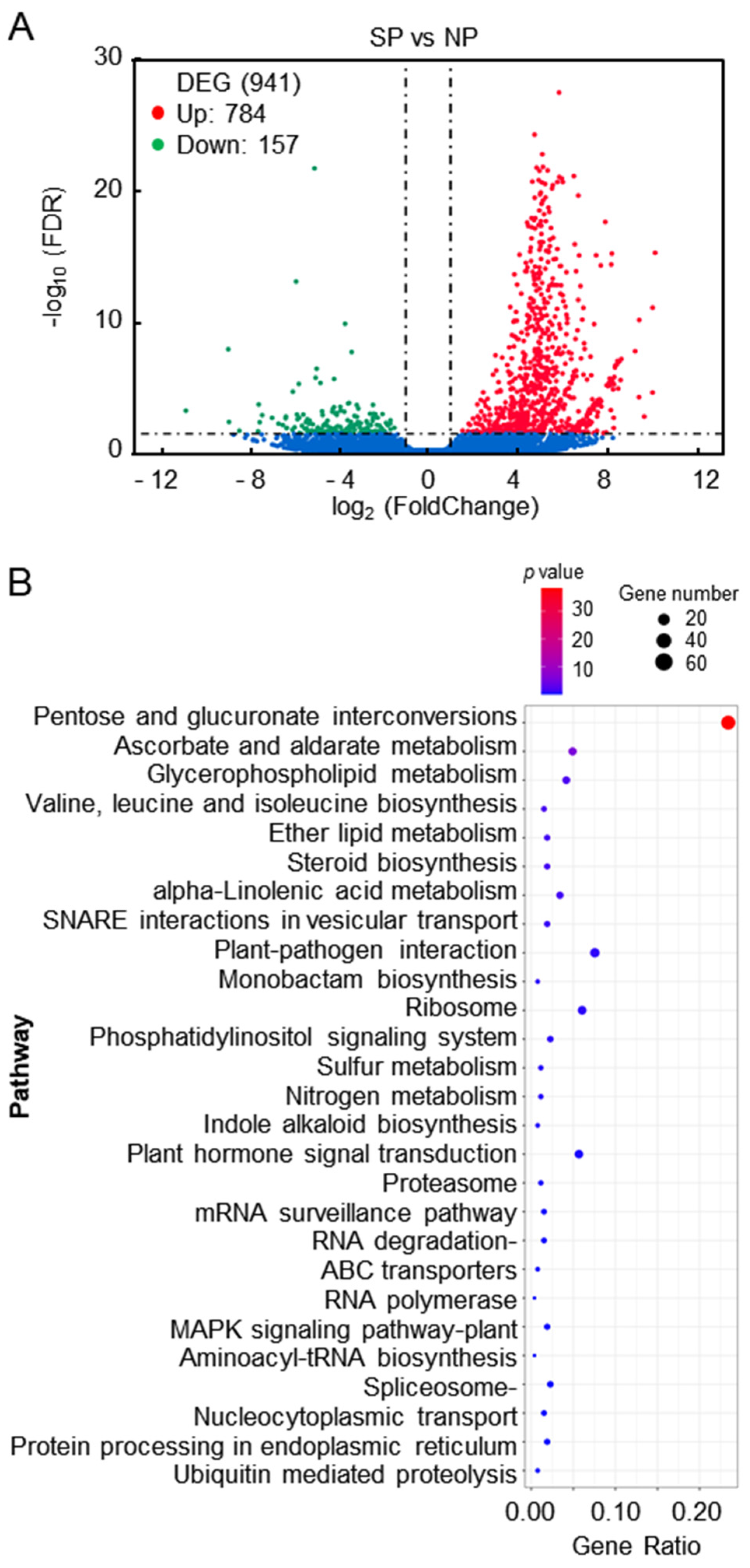 Plants 13 00875 g002 Plants 13 00875 g002