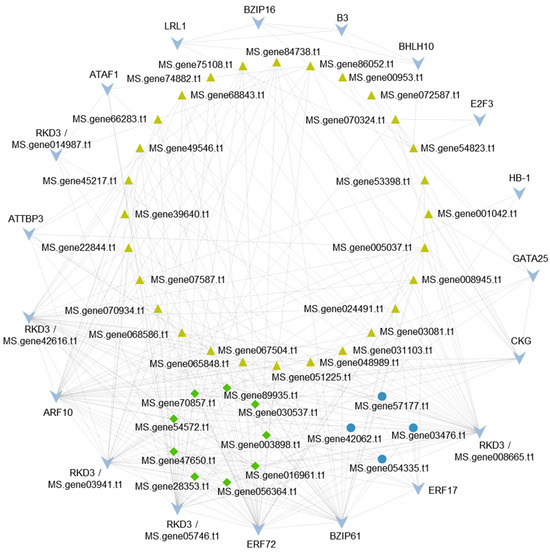 Transcriptomic Analysis of Self-Incompatibility in Alfalfa Transcriptomic Analysis of Self-Incompatibility in Alfalfa