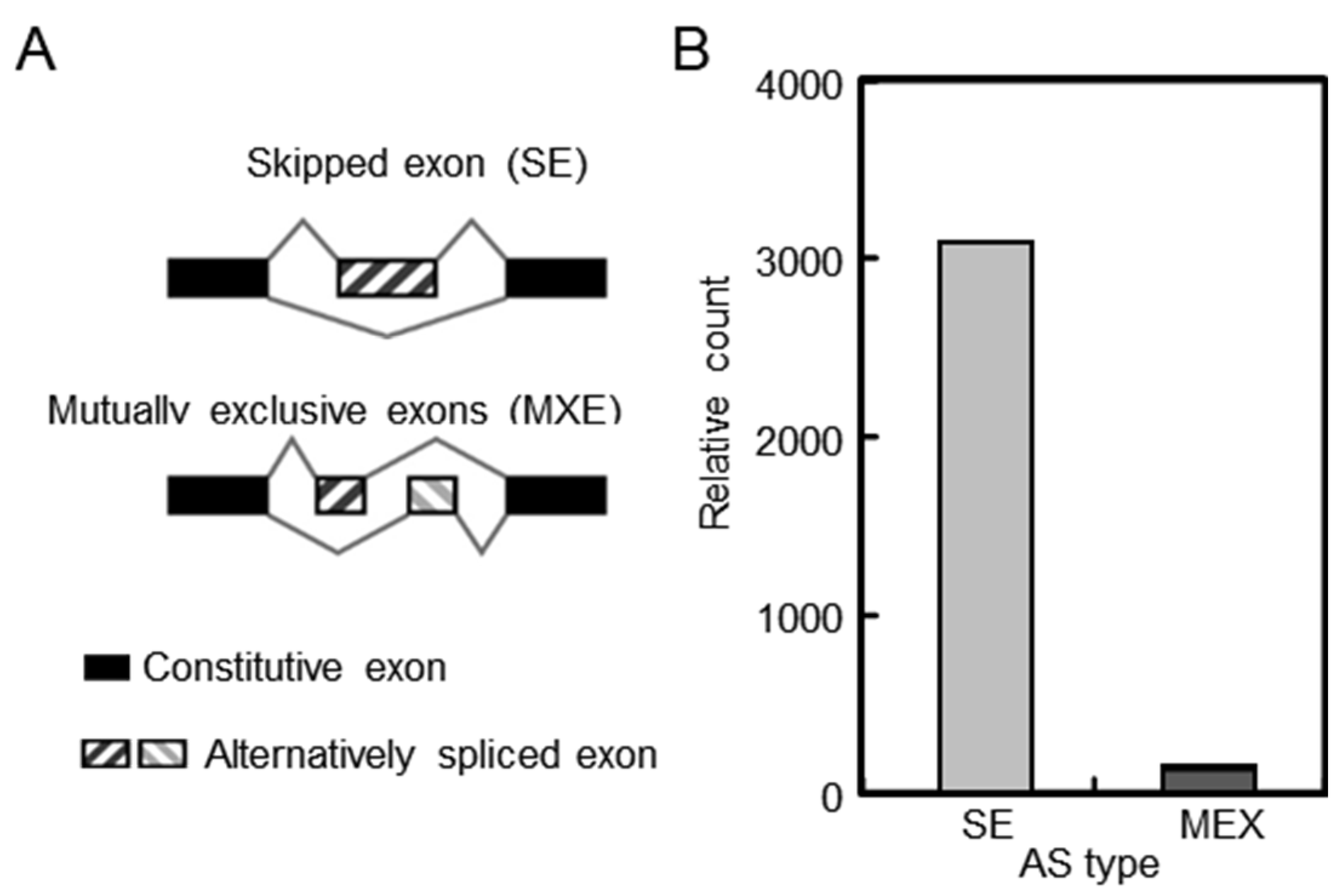 Plants 13 00875 g005 Plants 13 00875 g005