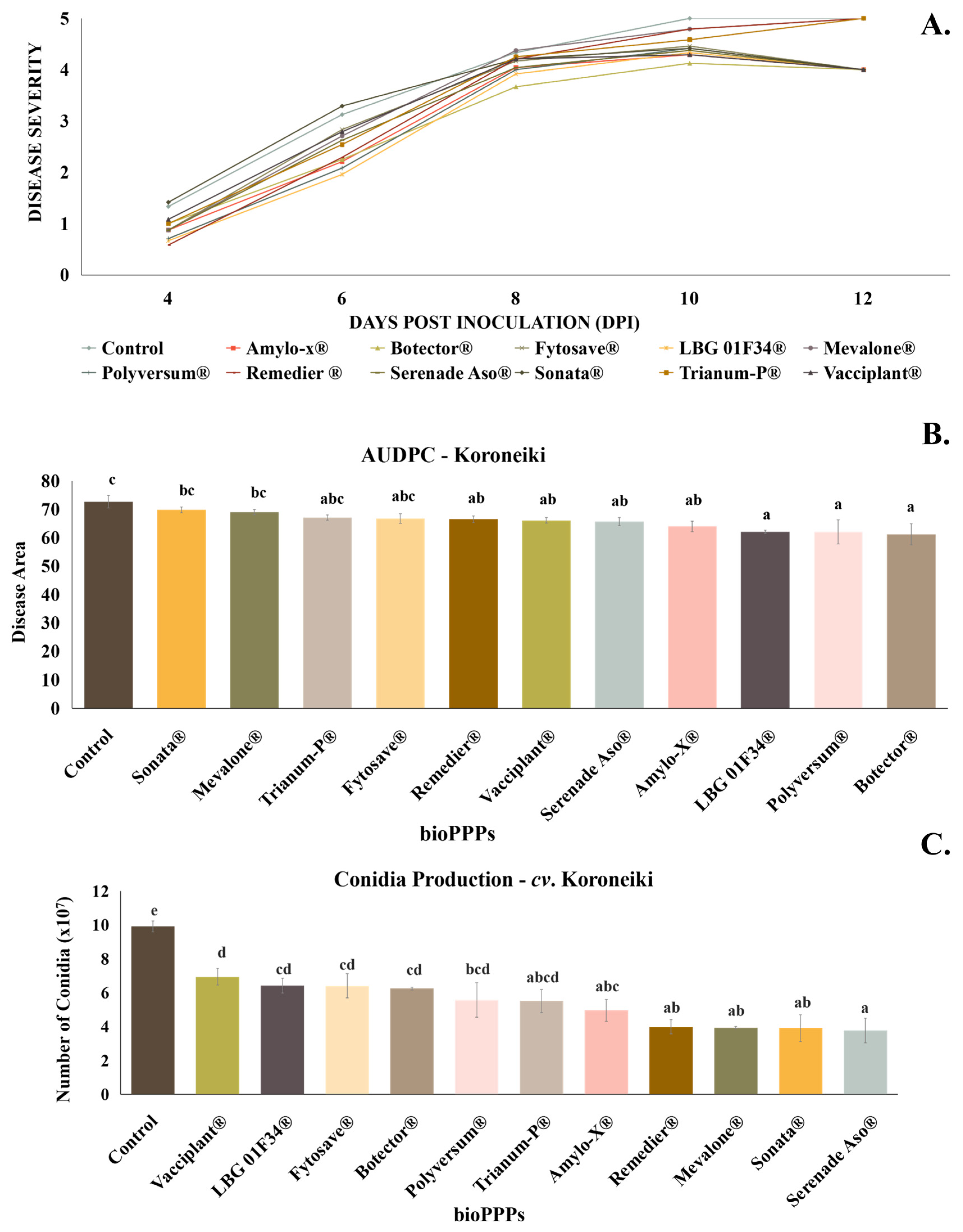 Plants 13 00878 g001