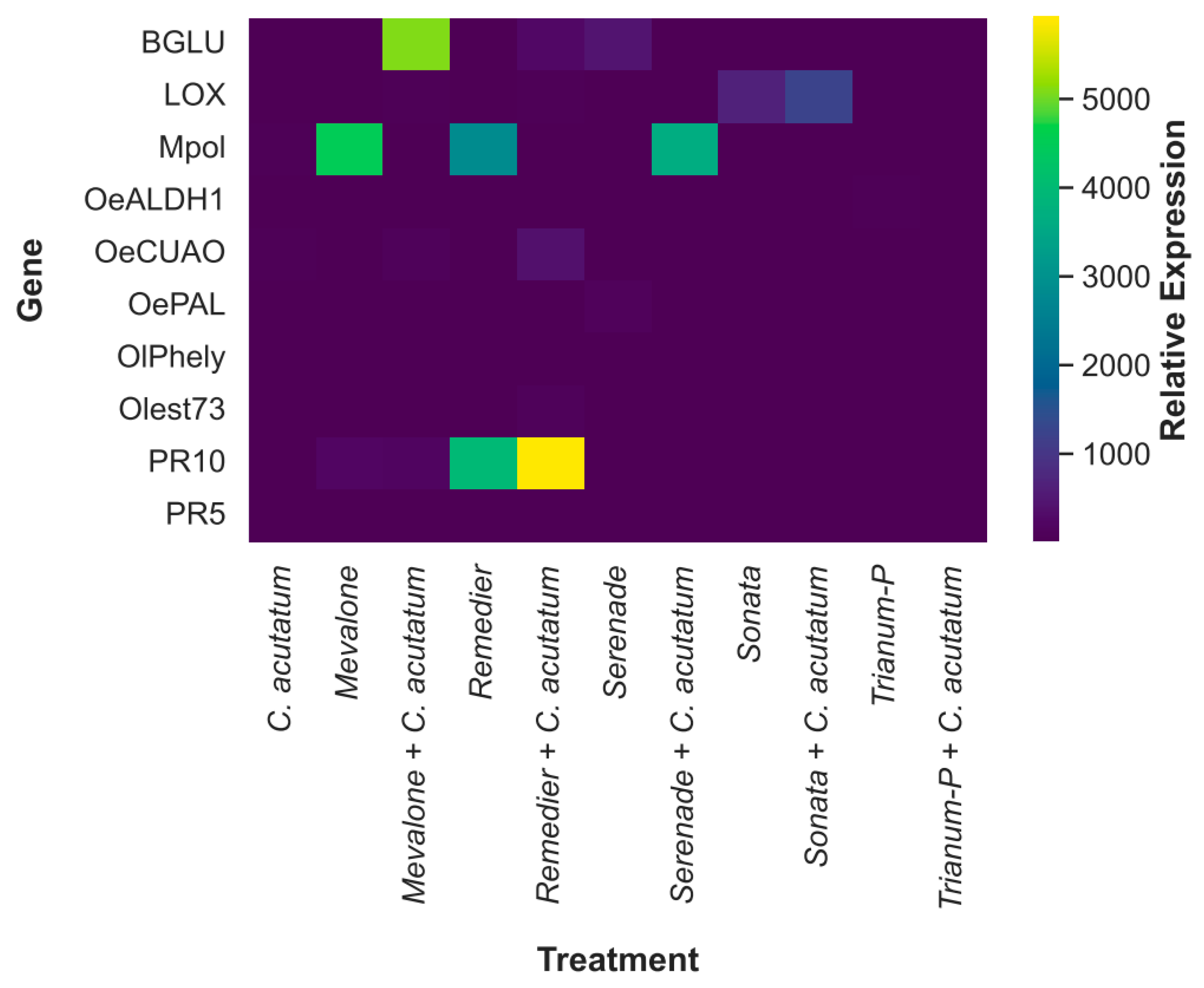 Plants 13 00878 g003