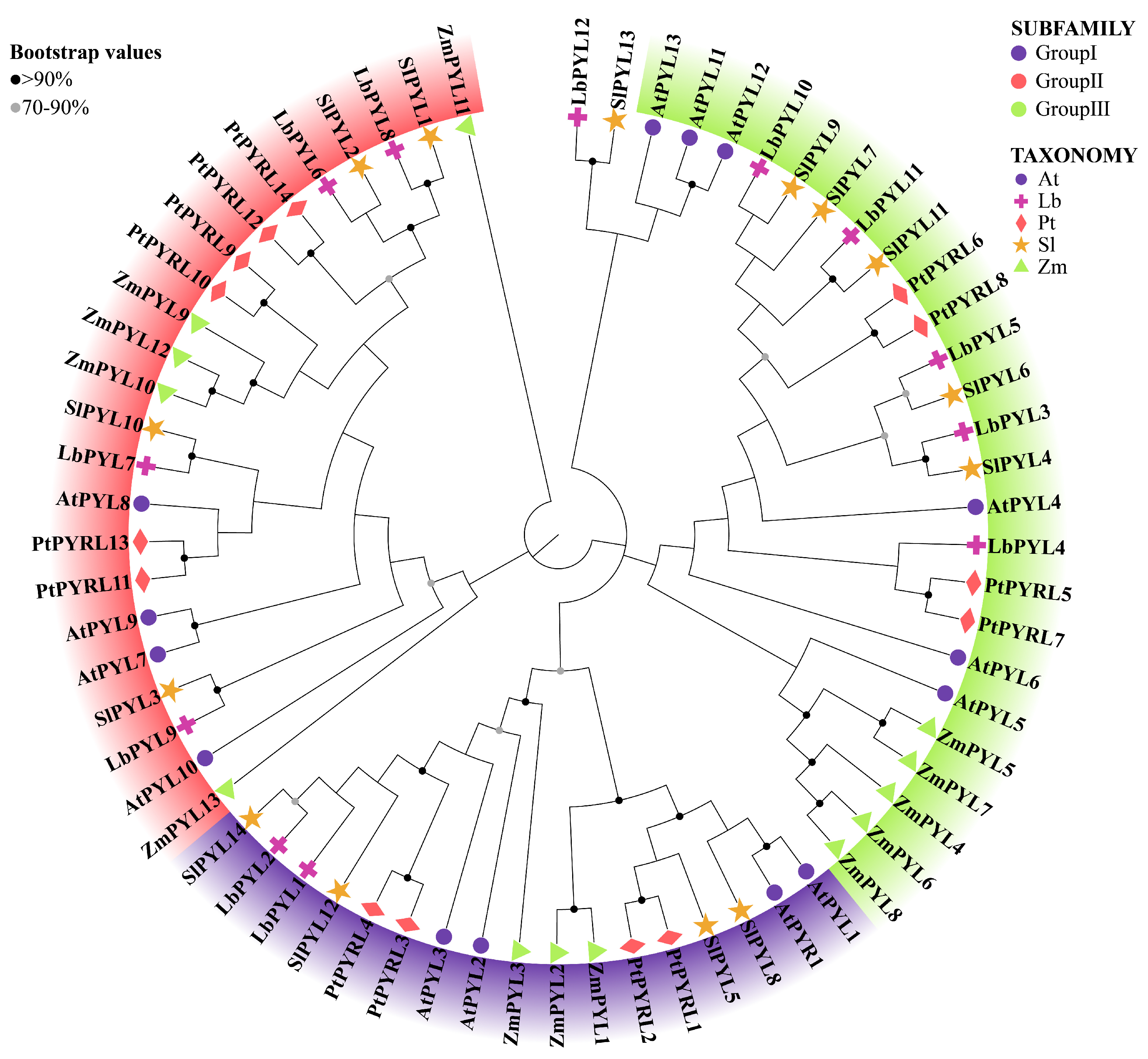 Plants 13 00887 g002 Plants 13 00887 g002