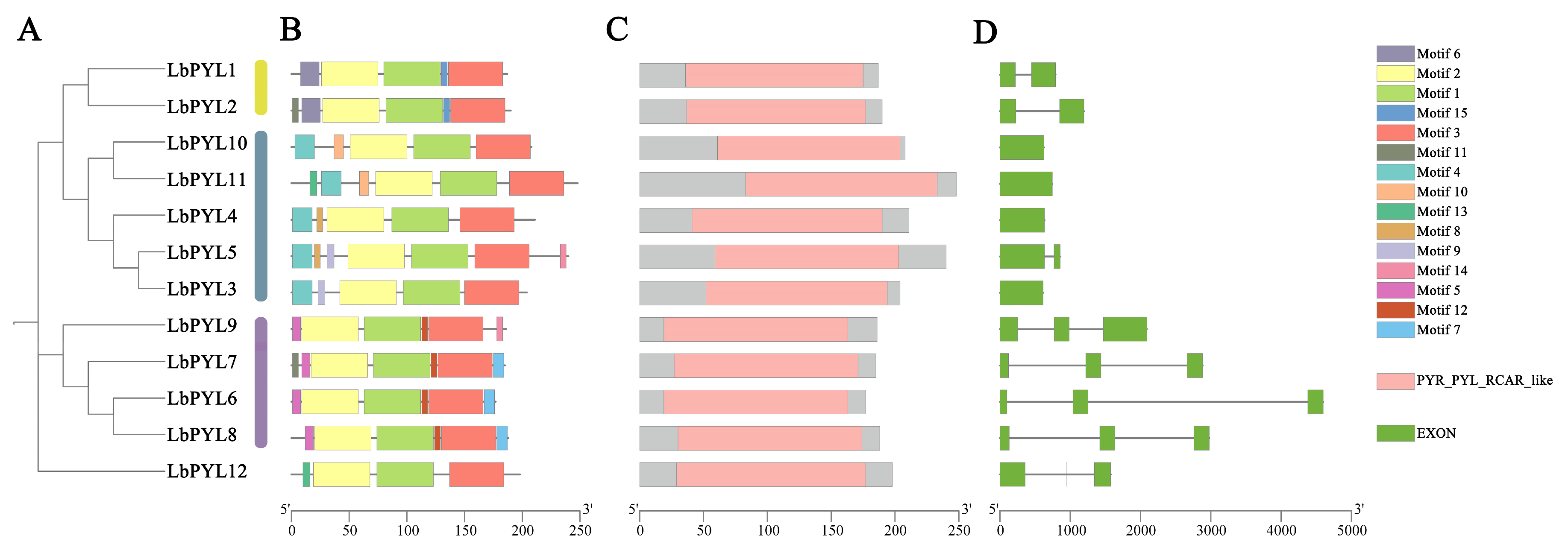 Plants 13 00887 g003 Plants 13 00887 g003