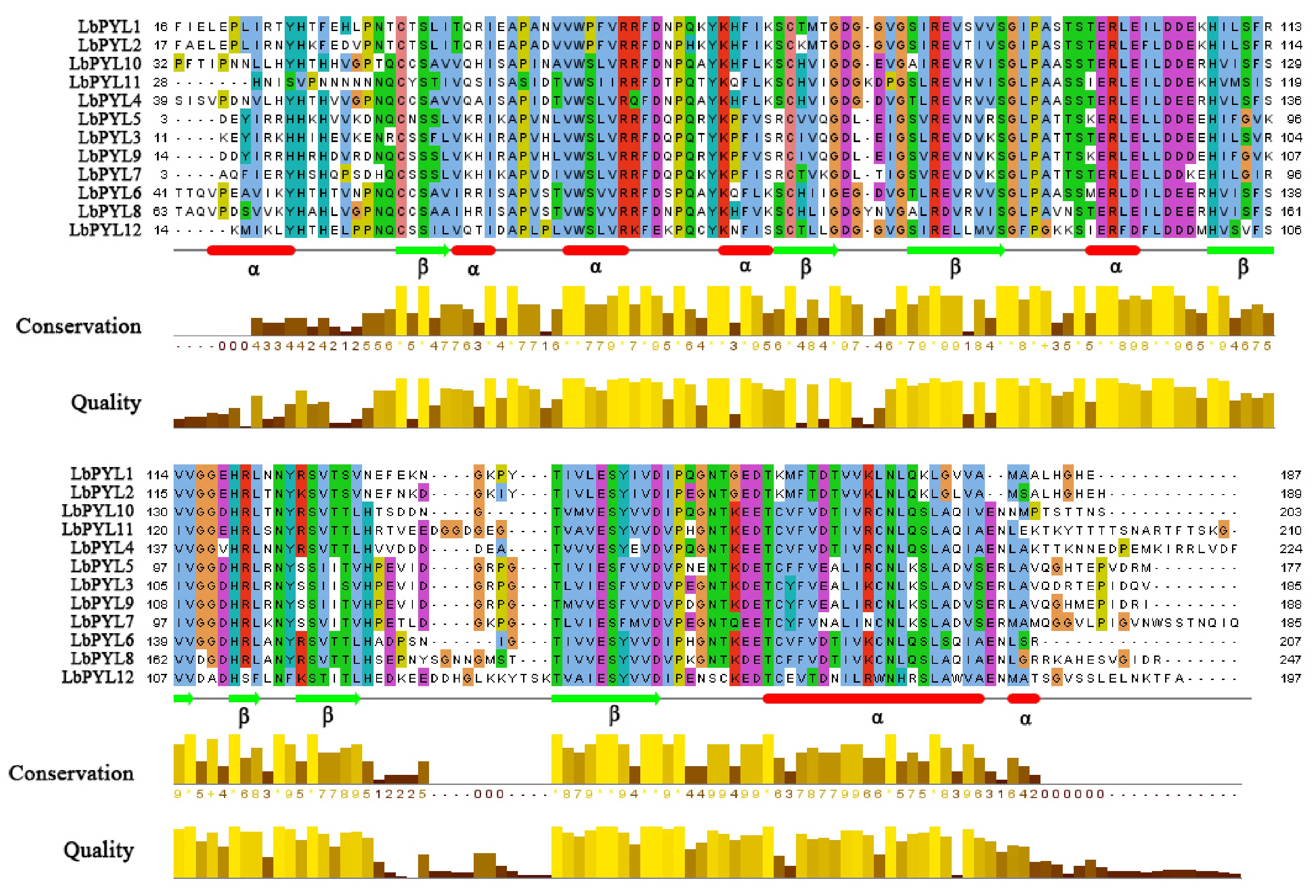 Plants 13 00887 g004 Plants 13 00887 g004