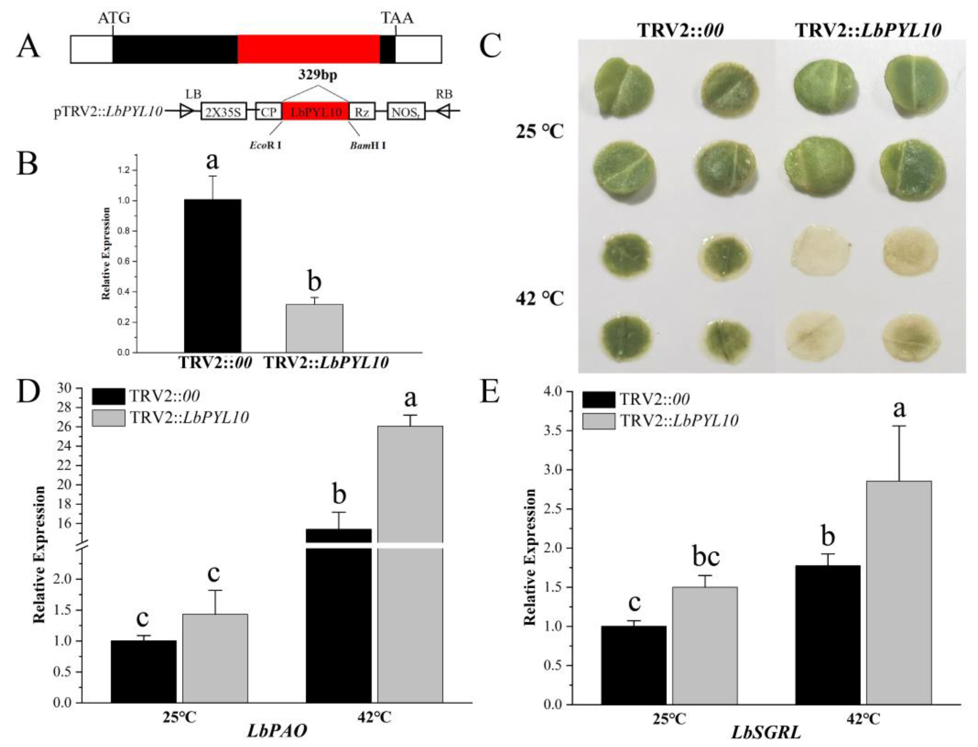 Plants 13 00887 g009 Plants 13 00887 g009